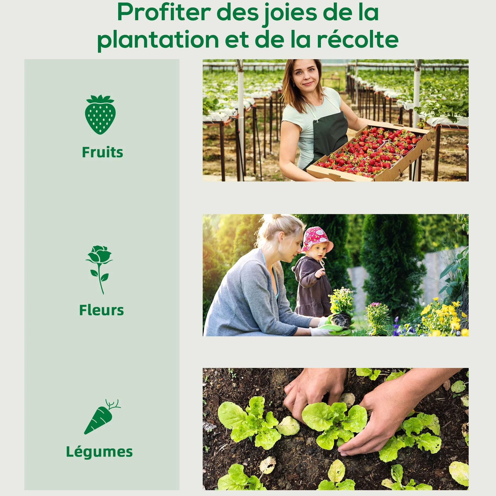 Outsunny Serre de Jardin PE, Serre de Balcon, bâche renforcée 140 g/m², châssis en Acier, Porte zippée Enroulable, pour légumes Plantes Fleurs, intérieur et extérieur, 200 x 77 x 169 cm, Vert