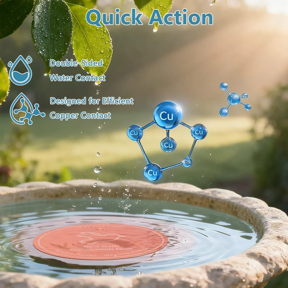 Disque de Purification pour Bain d'oiseaux en Cuivre 99,99% avec Support, pour Extérieur Jardin