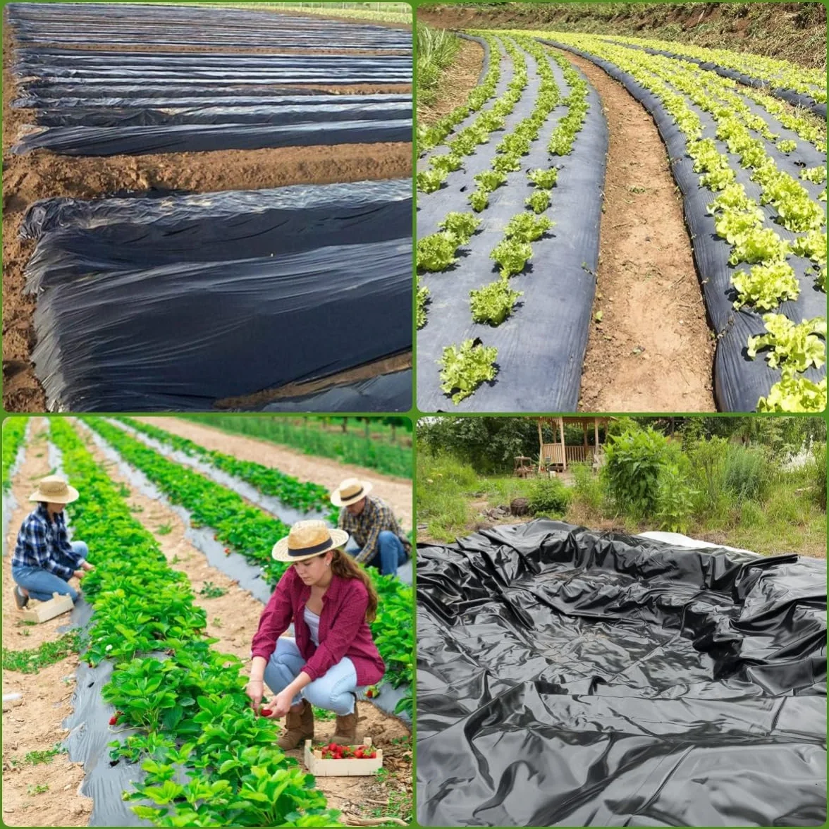 KAHEIGN 2m x 10m Bâche En Polyéthylène Noir, 2mil D'épaisseur Couverture De Polytunnel De Culture De Jardin Membrane Horticole En Polyéthylène Pour L'isolation De Jardinage (125mu/500g)