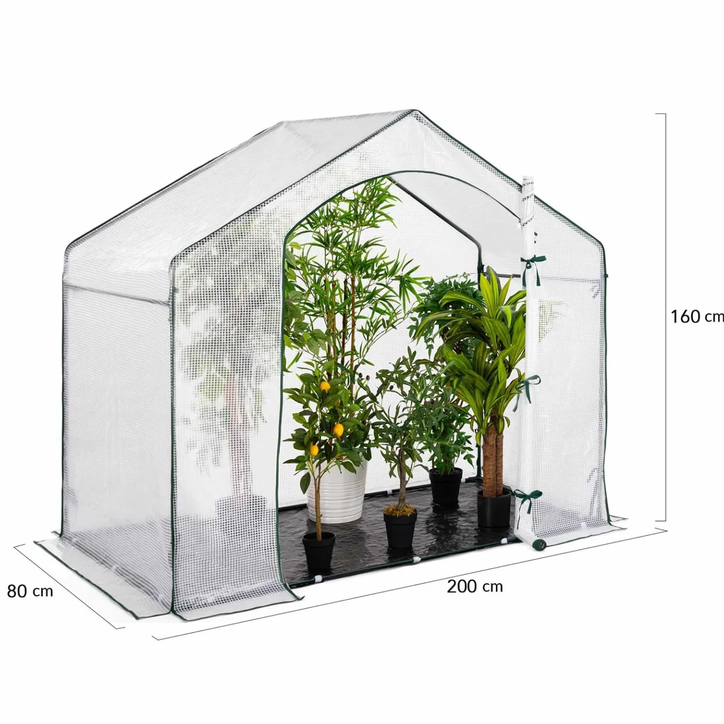 IDMarket - Serre d'hivernage Maison 200 x 80 x 160 cm Balcon et terrasse