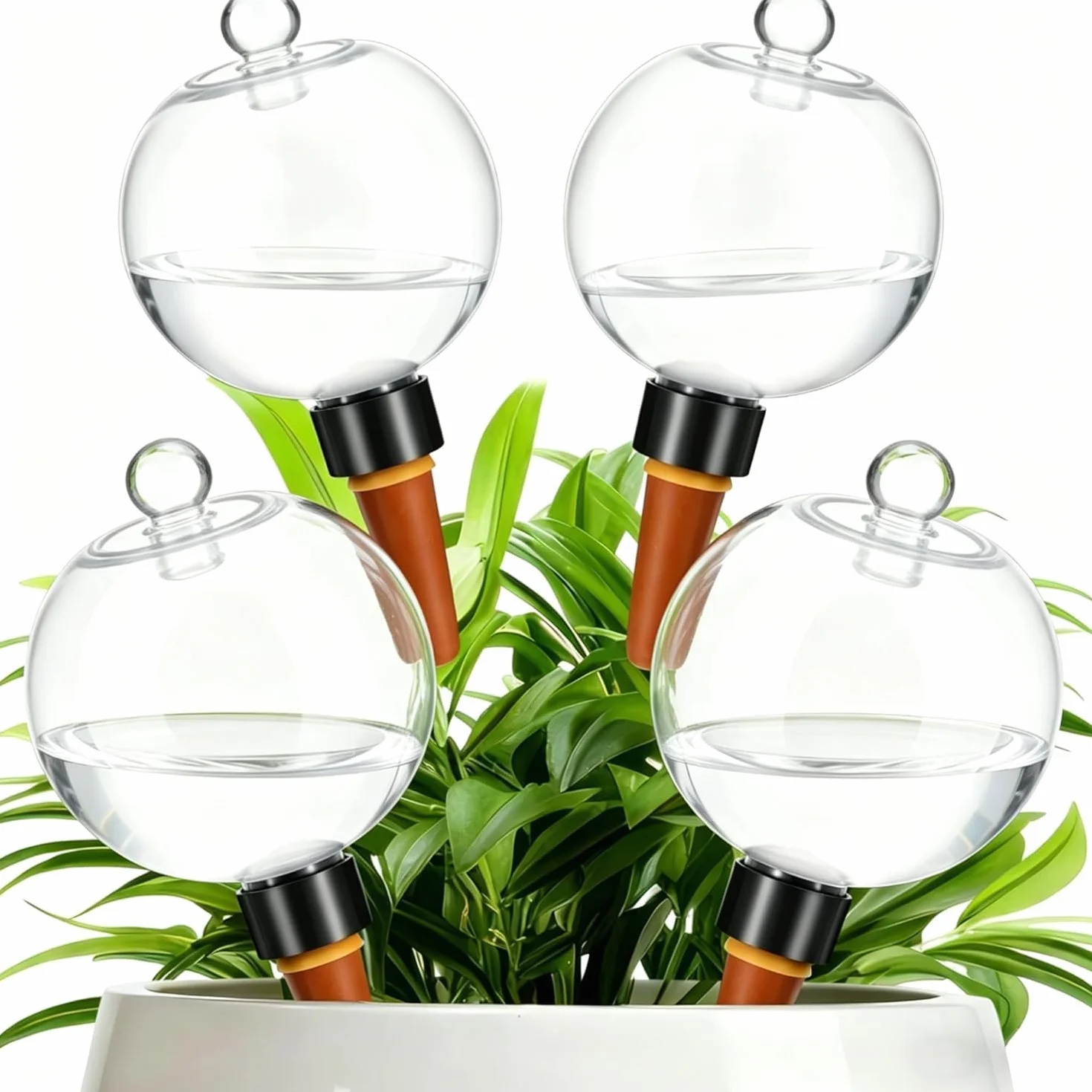 Pipihome Boule Arrosage Plante, Lot de 4 Globe d'Arrosage Goutte, Arrosage Plante Vacances Automatique Transparent, Cônes d'argile d'Irrigation Boules d'Intérieur et d'Extérieur
