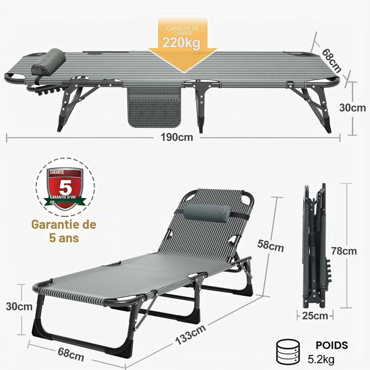 MOPHOTO Chaise Longue Pliante 5 Positions Portable Extérieur Piscine Plage Patio