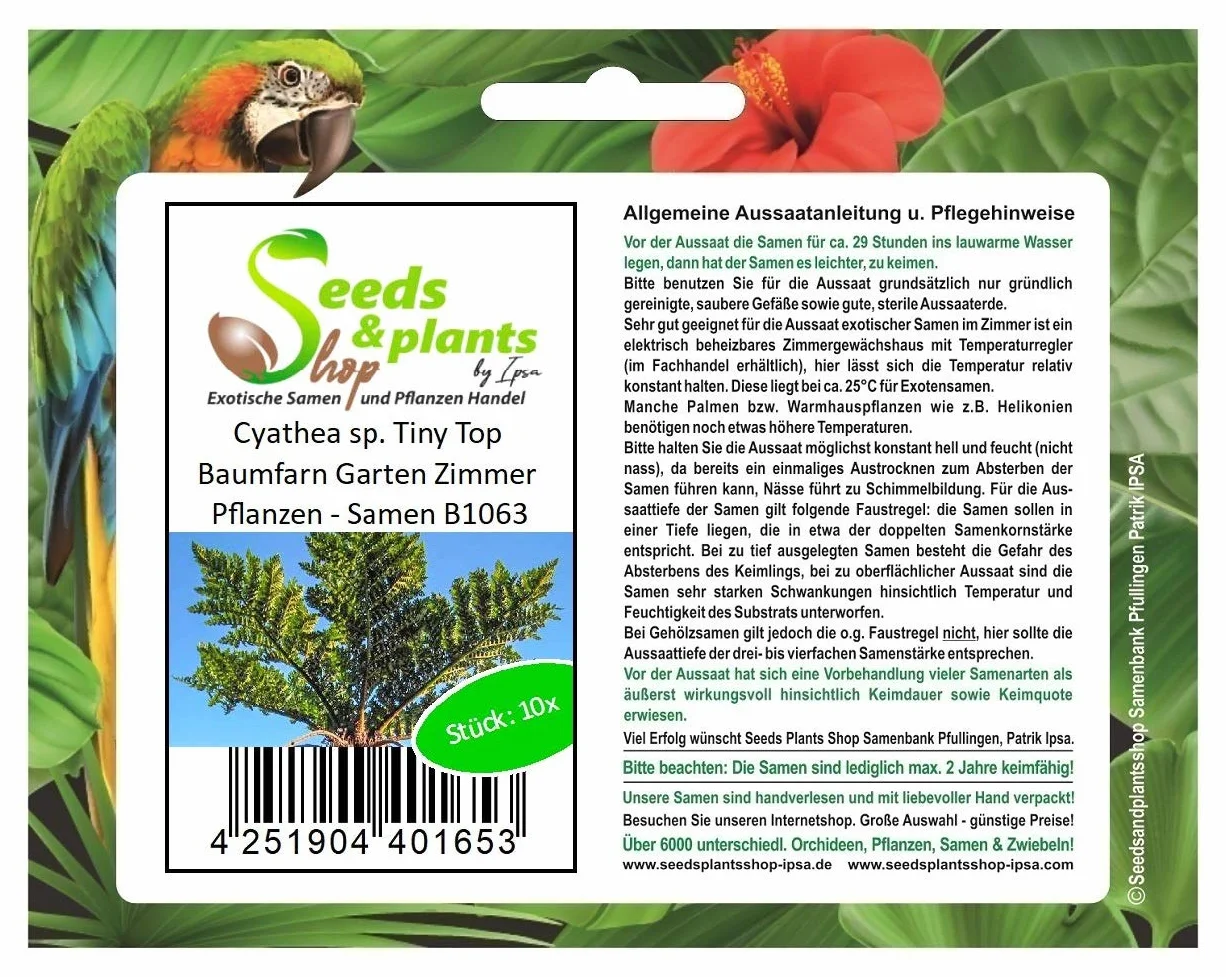 Pcs - 10x Cyathea Sp. Tiny Top Fougère Arborescente Jardin Chambre Plantes - Graines B1063 - Seeds & Plants Shop by Ipsa
