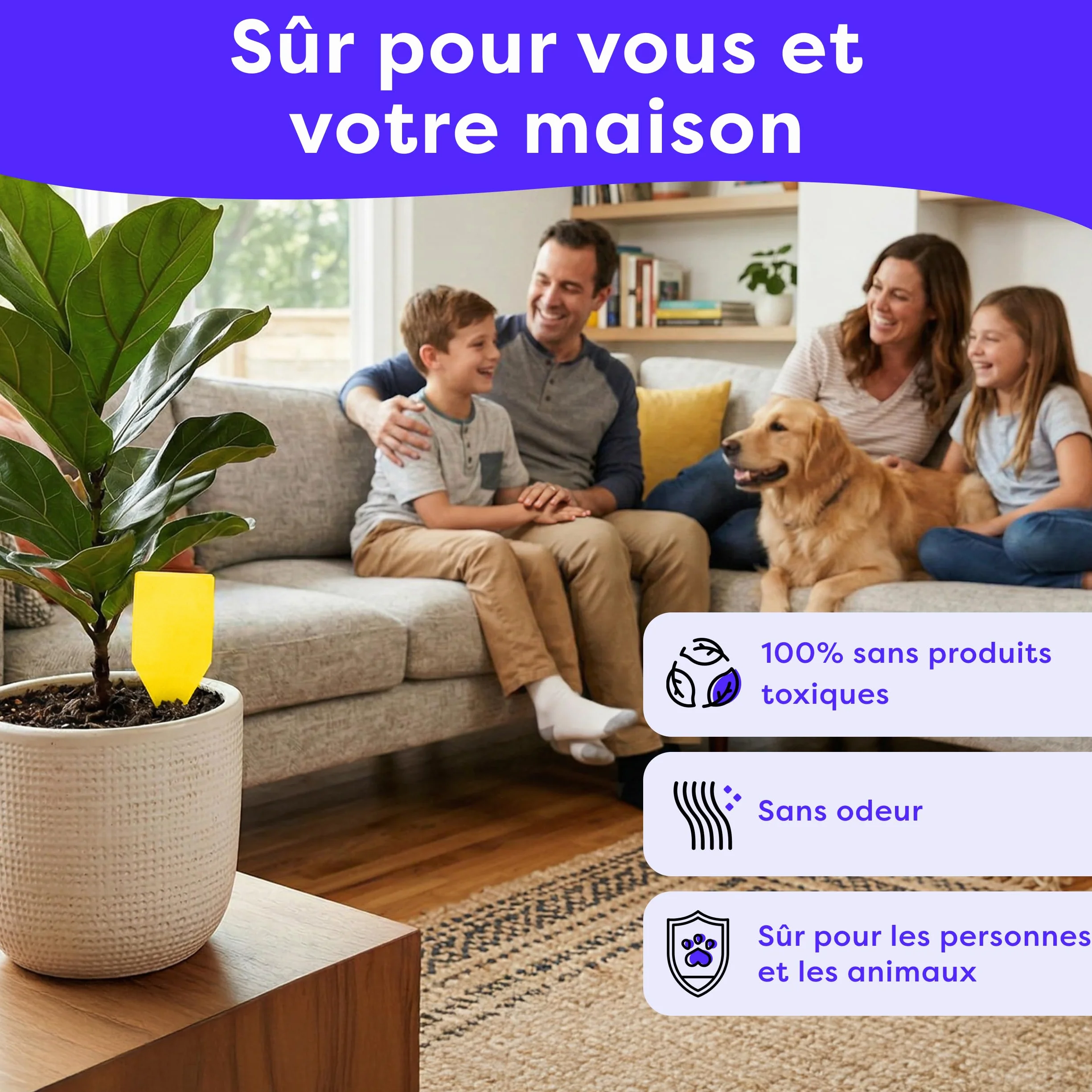 Wolkenfeld Piège à Moucherons Plantes 30 Pièces Stickers Jaunes – Anti Moucherons Interieur, Attrape Moucheron Adhésif Double Face, sans Insecticide – Plantes d’Intérieur & Serre – Made in Germany