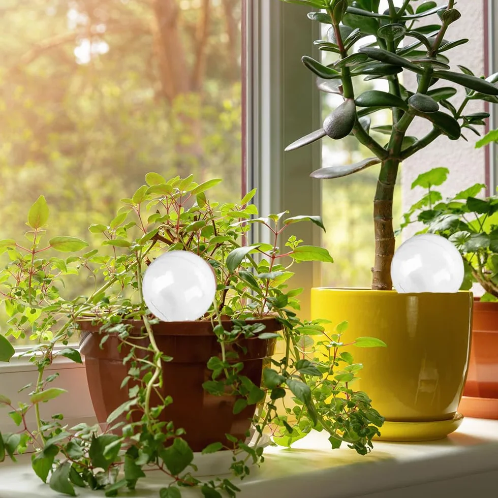 Lot de 4 Globe d'arrosage Automatique Boules d'Irrigation pour Plante Transparent Distributeur Eau Plantes pour l'Intérieur l'Extérieur