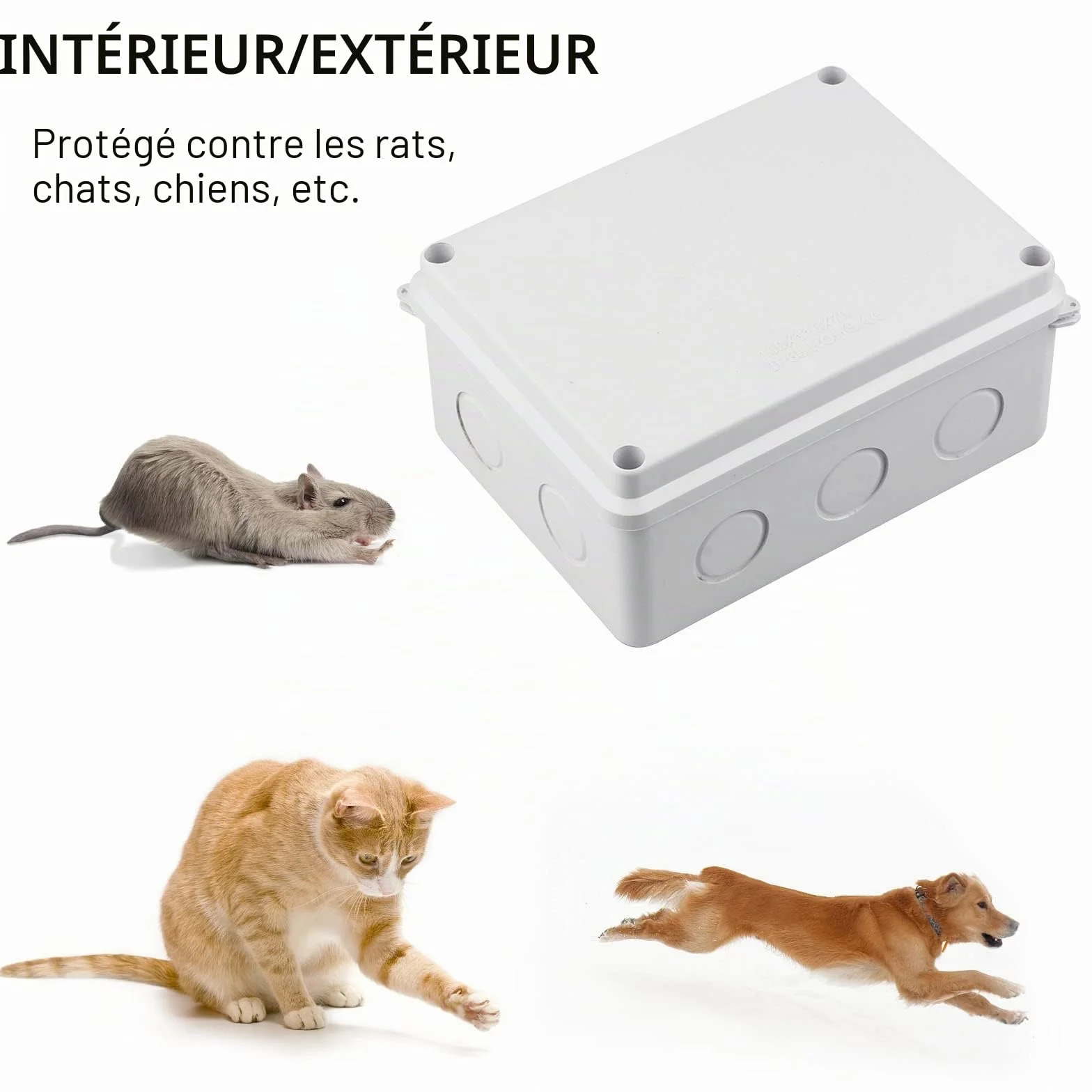 Boîte de Dérivation Étanche IP65 150x110x70mm Carrée Blanc avec Passe Cable Ø6-12 mm