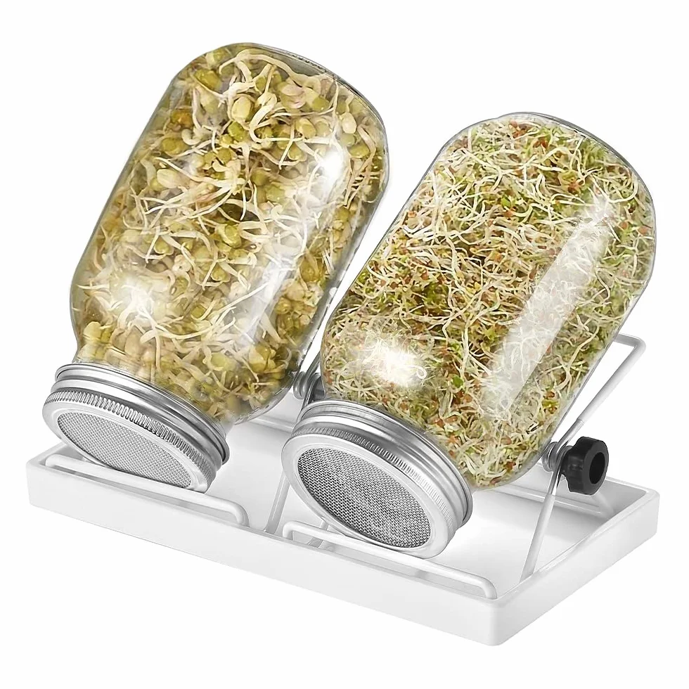 ecooe Lot de 2 pots à germer pour germination en verre à germination avec 1 bac à eau, 2 couvercles de grille filtrante en acier inoxydable 304 et 2 supports