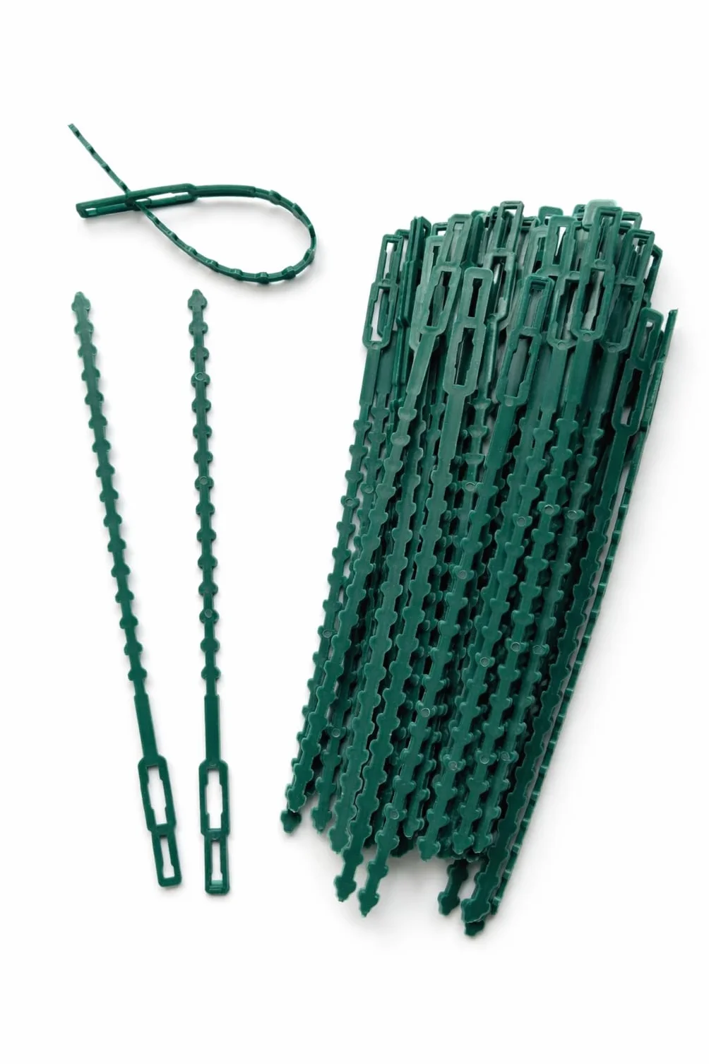 Flandria 50 Attaches Plantes Réglables 23cm – Liens Réutilisables pour Plantes et Potager - Attache Tuteur Vert