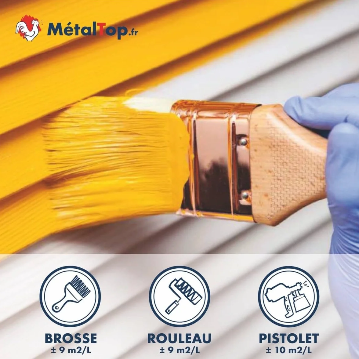Peinture Volets Bois Gris Anthracite RAL 7016-1 L Microporeuse Anti-UV Anti-humidité Haute Protection 15 Ans