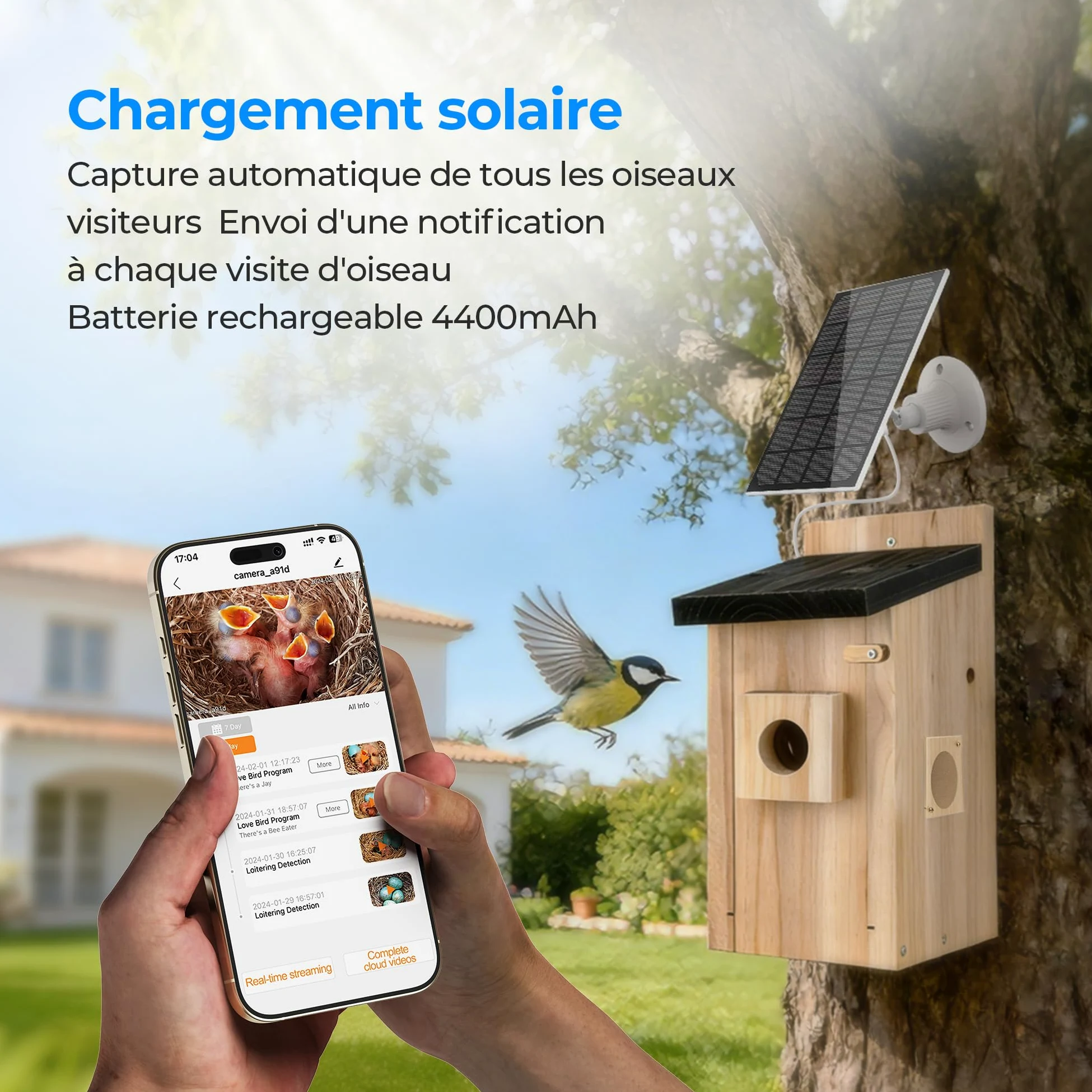 Nichoir à Oiseaux Extérieur avec Caméra 4MP - Maison pour Oiseaux avec Caméra Solaire, Observation en Direct de la Nidification, Étanche IP65, WiFi 2.4G, Kit de Montage DIY