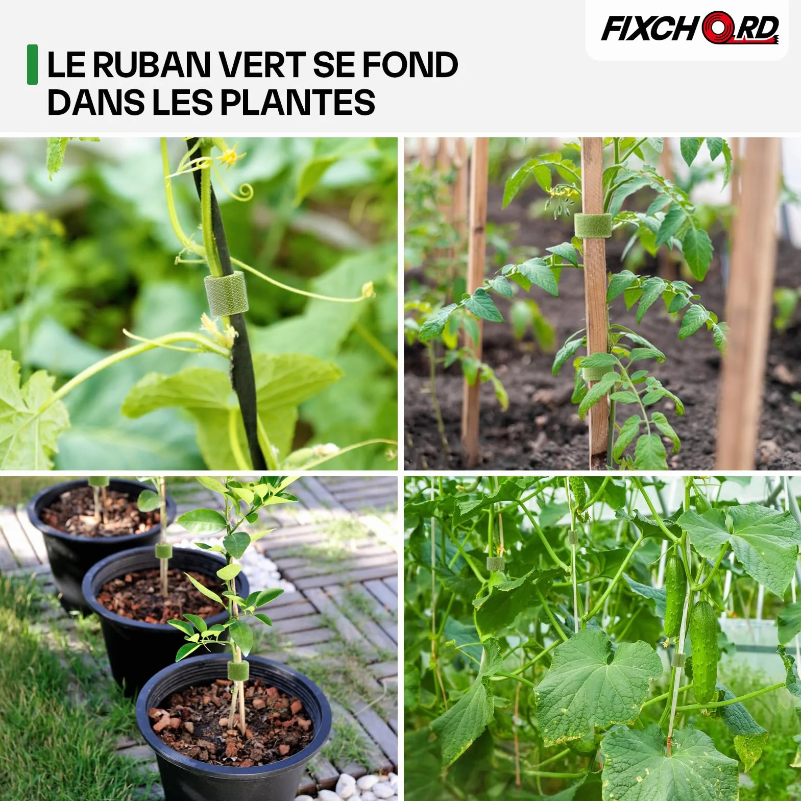 Attaches de Jardin pour Plantes, 10m*12mm Attache Plante Grimpante, Attache Plante Grimpante pour Tomate, Liens de Plantes Bande de Fixation Réutilisable, Verre Vert