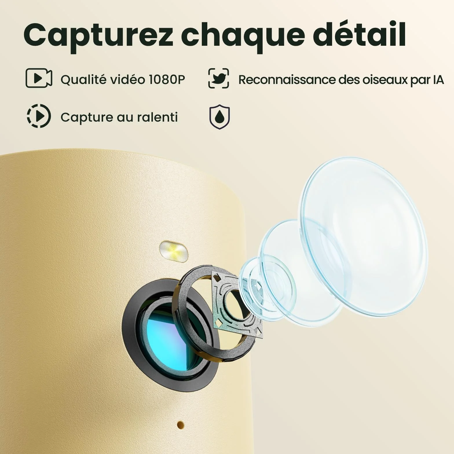 Mangeoire Oiseaux Caméra Birdfy Connectée en Bois avec Caméra Solaire IA 6000+ espèces 1080p