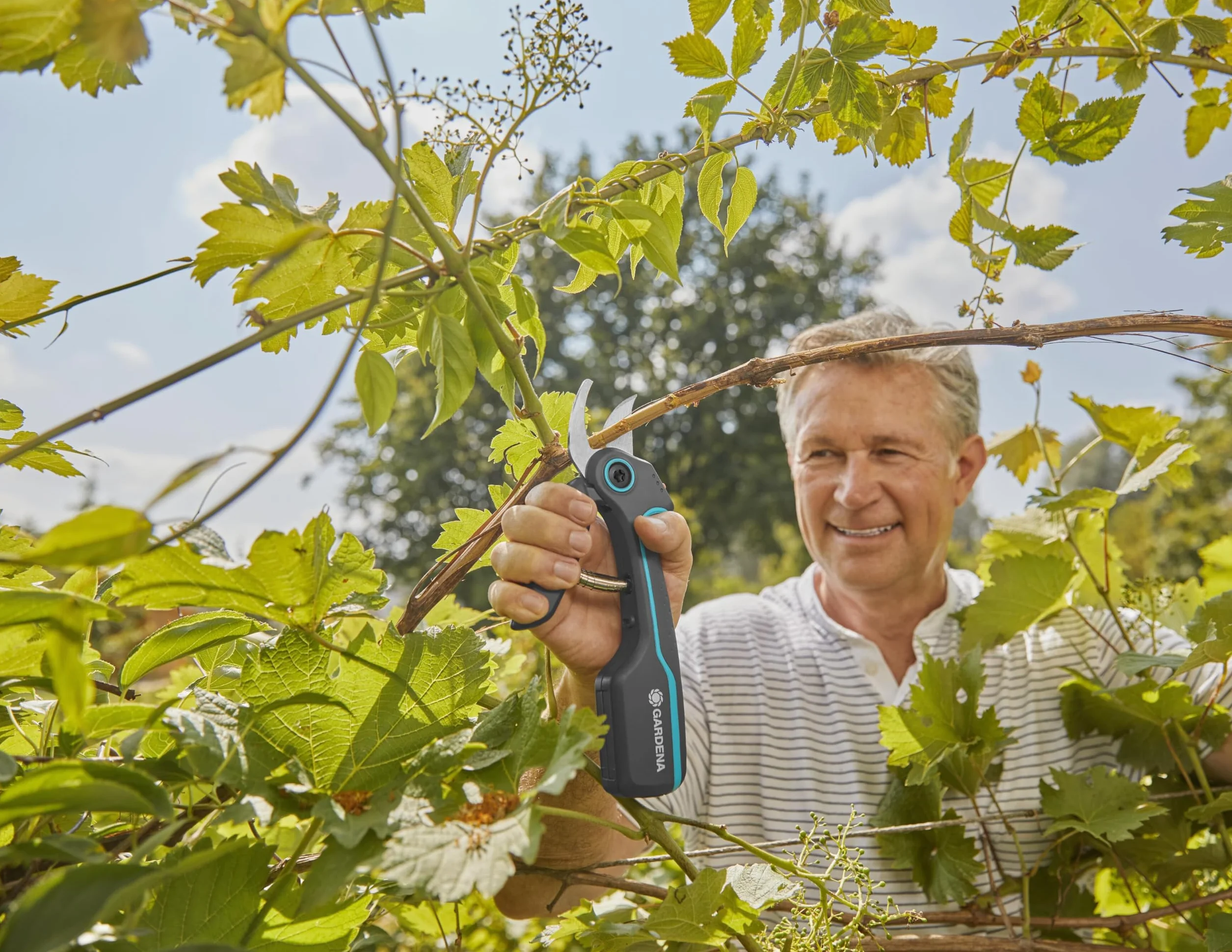 GARDENA AssistCut : Sécateur sans Fil avec Un Diamètre de Coupe de 25 mm, pour Couper Facilement et sans Effort Les Branches, Les Jeunes Pousses et Les Fleurs, avec Câble de Recharge USB-C (12222-20)