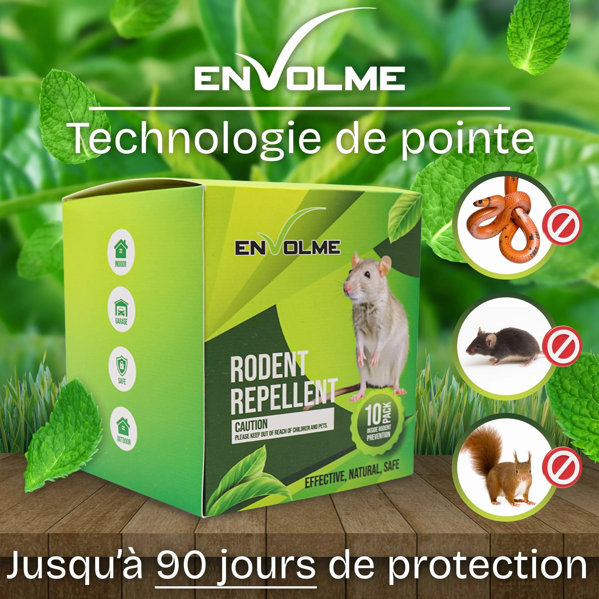 Anti Souris - Menthe Poivrée Repulsif - Répulsif Souris - Répulsif Rongeur pour Voiture - Produit Contre Les Rats - 100% Naturel et Non Toxique