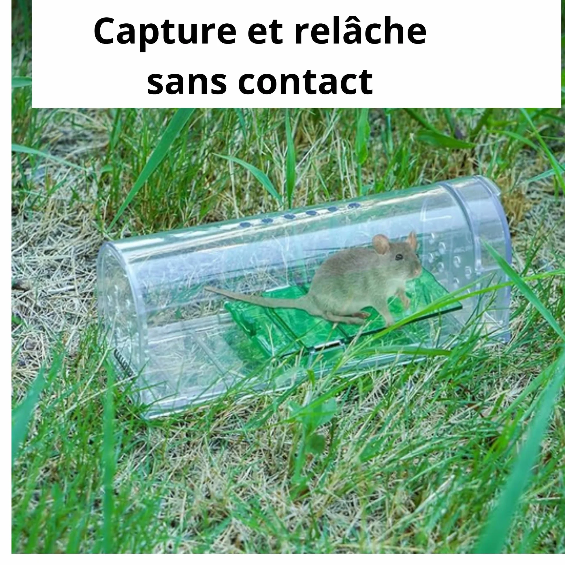 Piège à Souris vivantes Lot de 2 - boîte d'appât avec trous de ventilation et porte de sortie - Usage Intérieur et Extérieur Réutilisable