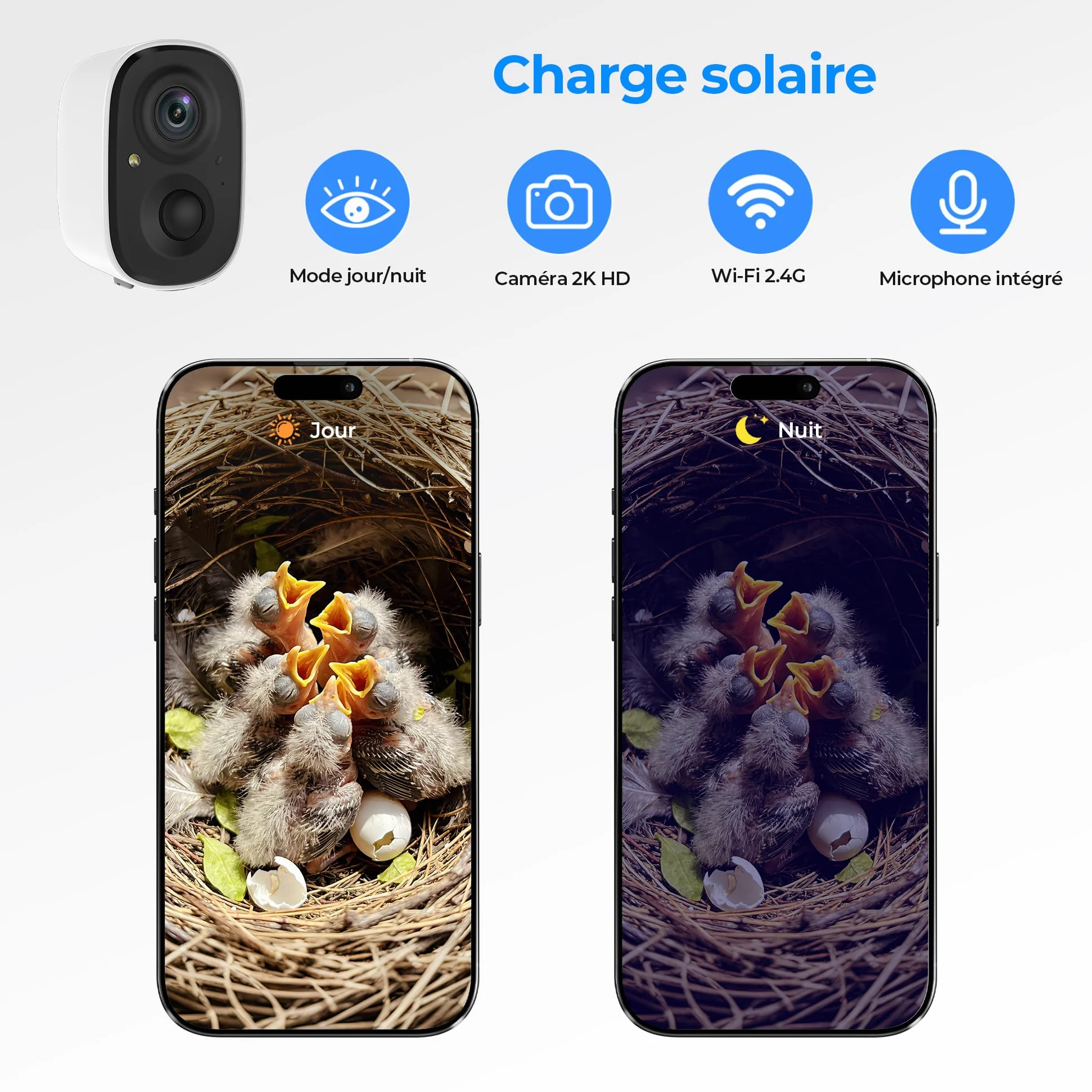 Nichoir à Oiseaux Extérieur avec Caméra 4MP - Maison pour Oiseaux avec Caméra Solaire, Observation en Direct de la Nidification, Étanche IP65, WiFi 2.4G, Kit de Montage DIY