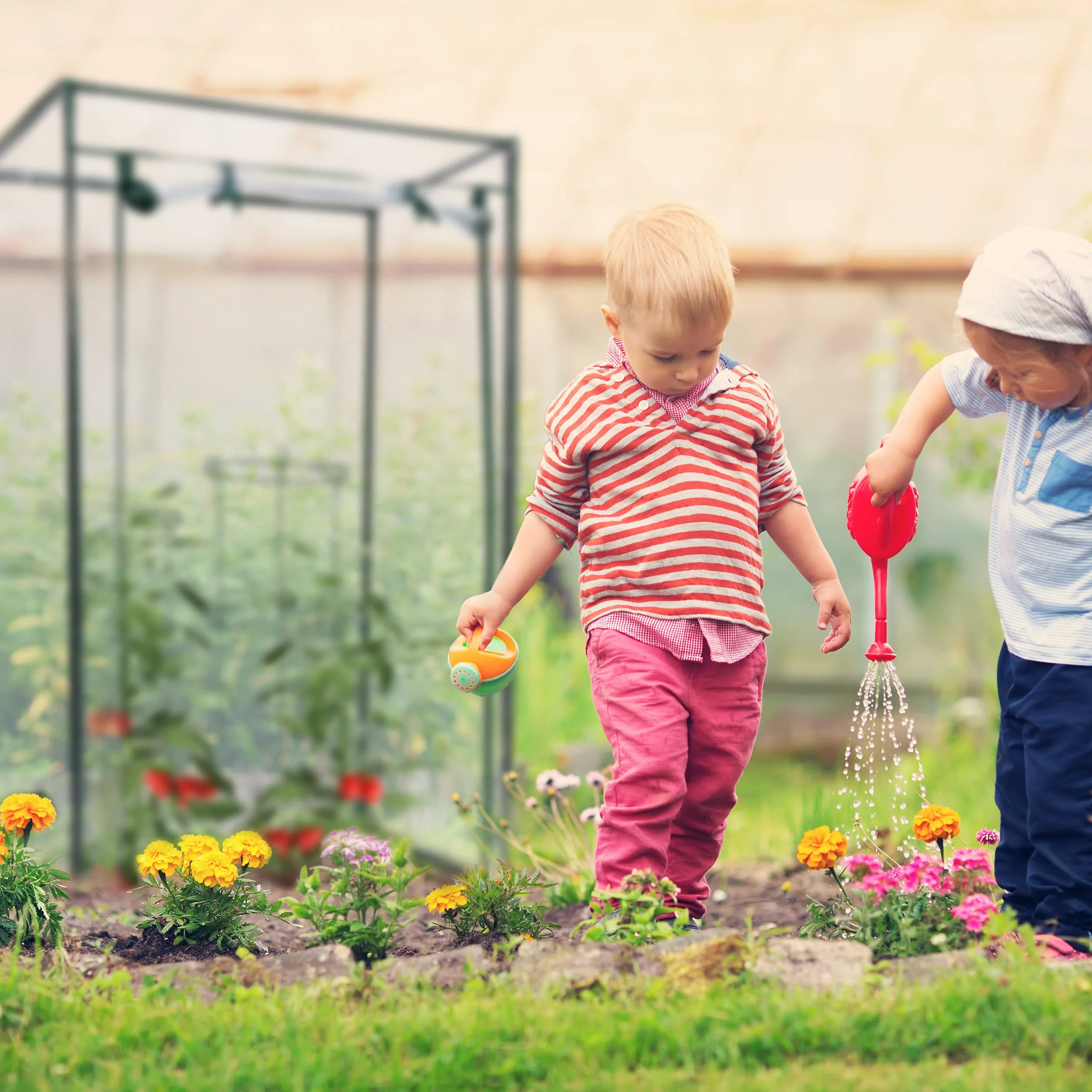 Relaxdays Serre de Jardin Tommy 150 x 100 x 50 cm Protection Légumes Tente Plantes