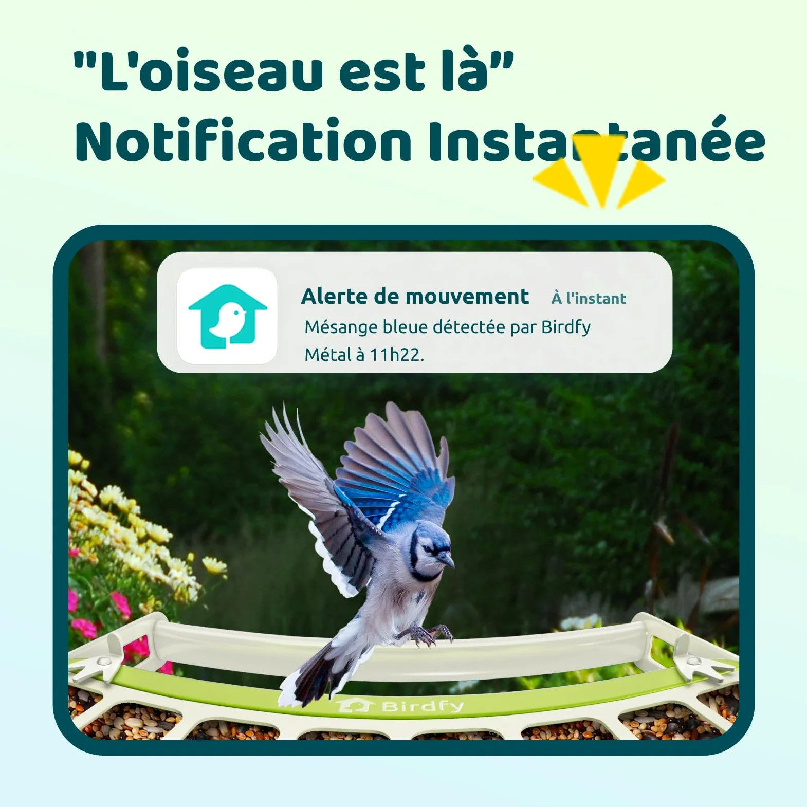 Birdfy Métal Mangeoire Oiseaux Camera pour L’Observation direct, 1080P Solaire Mangeoire Oiseaux Exterieur sans Fil, Vision Nocturne en Couleur, Notification Instantanée, Enregistrement à Chaque Visit