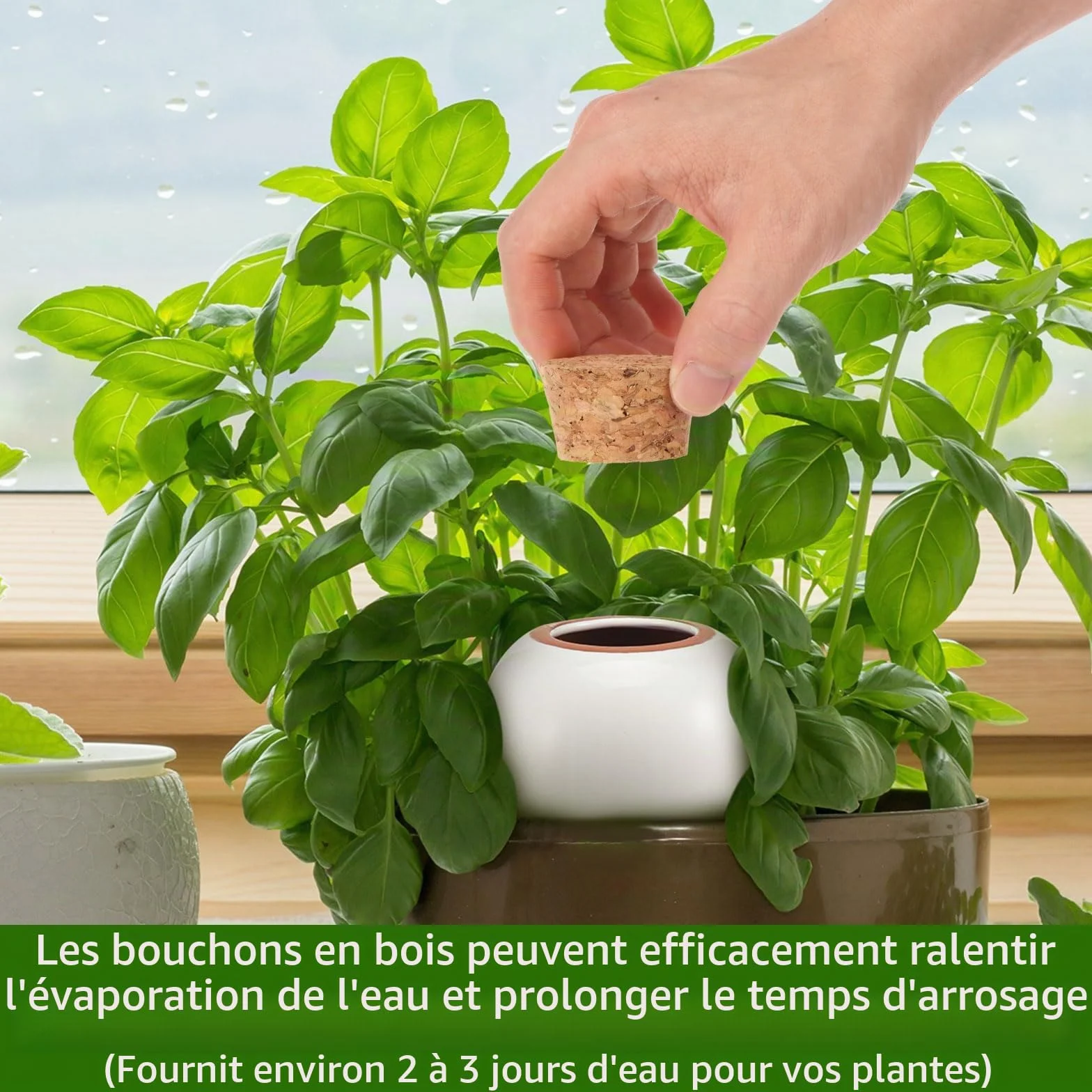 Lot de 4 globes d'arrosage pour plantes en terre cuite - 320 ml - À libération lente - Pour l'intérieur et l'extérieur - 8,2 x 8,2 x 14,23 cm