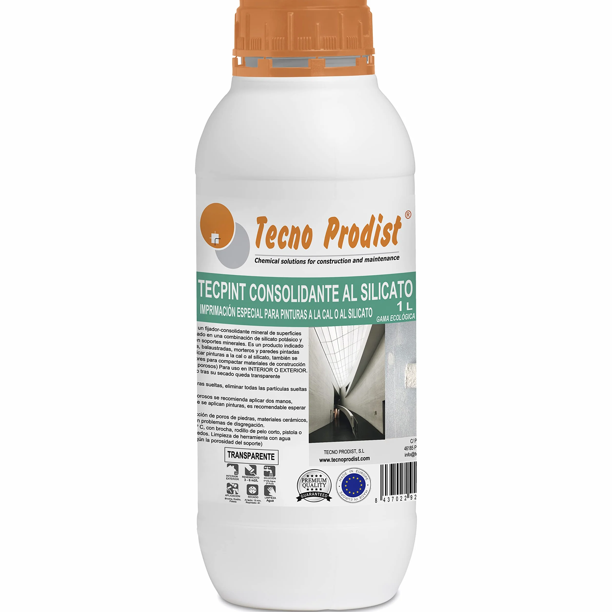 Tecno Prodist TECPINT CONSOLIDANT AL SILICATE 1 litre Fixateur pour surfaces de construction apprêt peintures chaux silicate