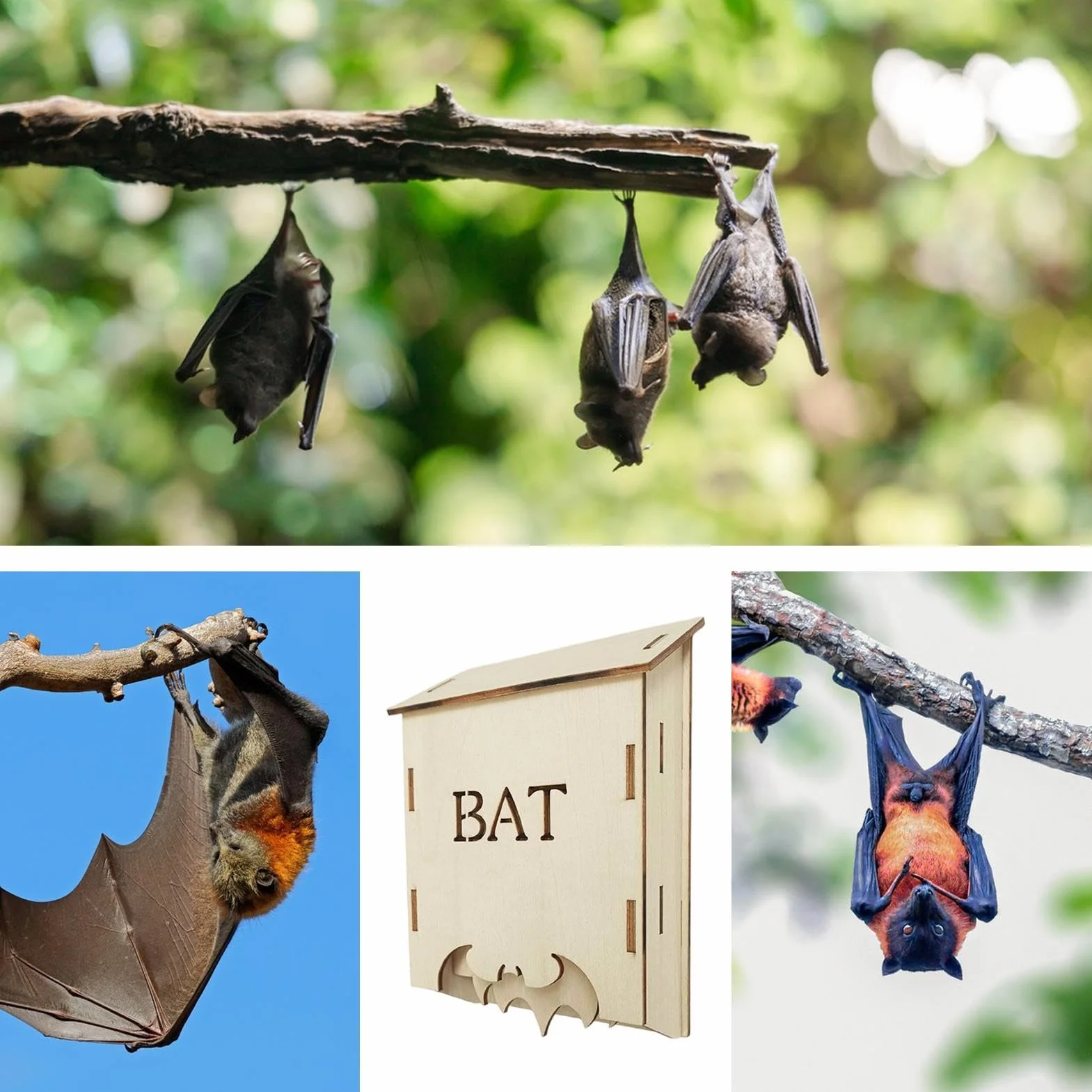 Nichoir à Chauves-Souris en Bois - Habitat Animal Extérieur