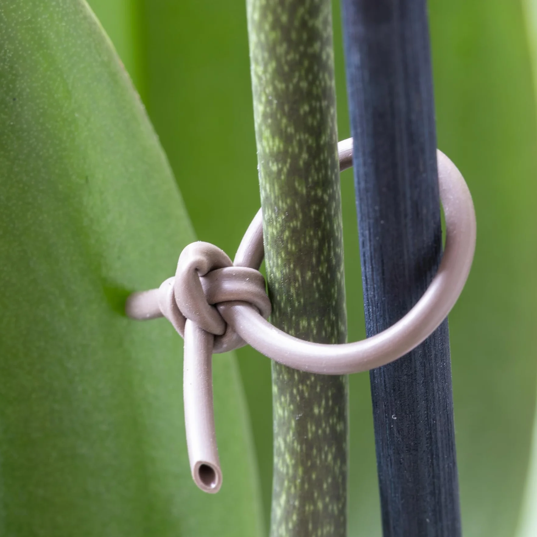 Flandria Lien Souple Tube Creux 3 mm x 45 mètres - Flexible, Suit la Croissance des Plantes