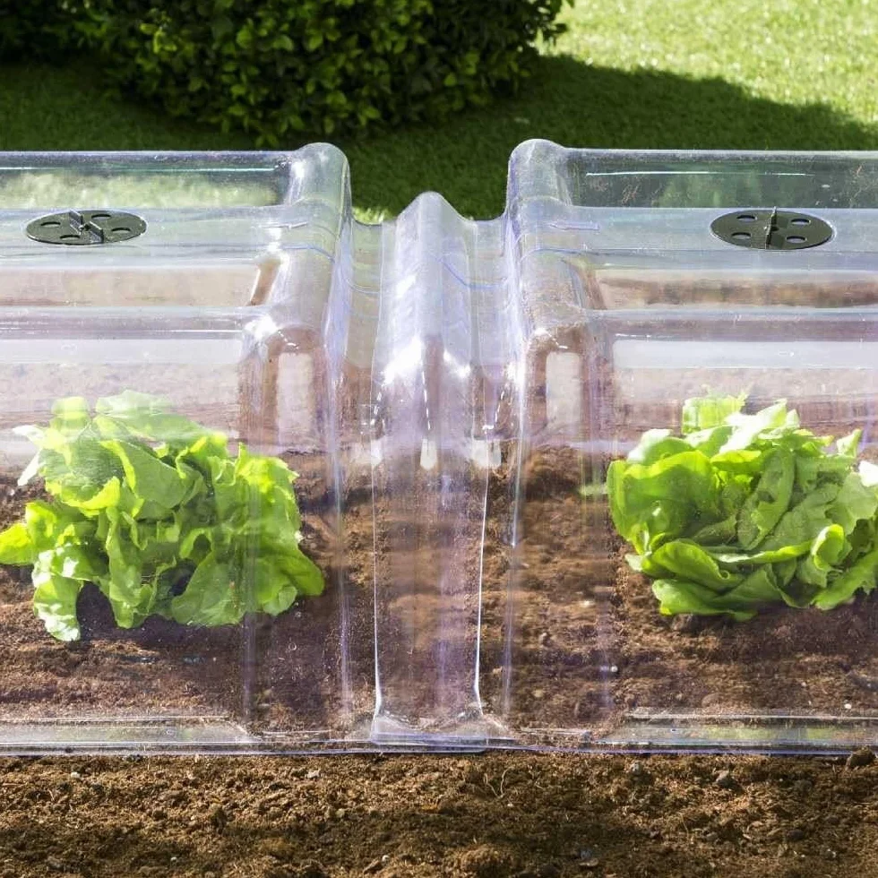 TERRE JARDIN - Tunnel de Forçage, 86 x 38 x 21 cm - Tunnel de Forçage Rigide, Transparent, Modulable, avec 6 Sardines de Fixation - Mini Serre Rigide Potager de Jardin avec Système de Ventilation
