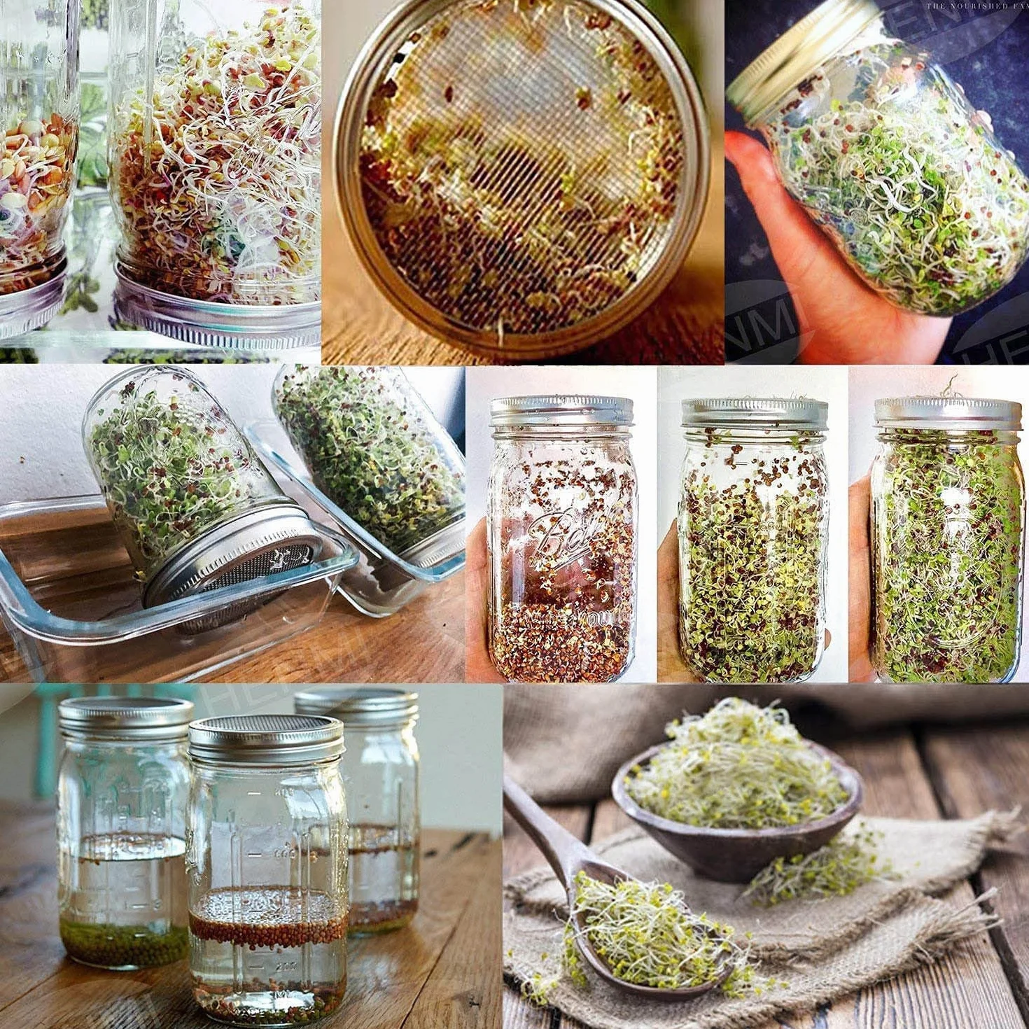 Kit de germination de graines Retoteng avec couvercles inox, supports, germinateur pour microgreens luzerne, brocoli et salade de haricots
