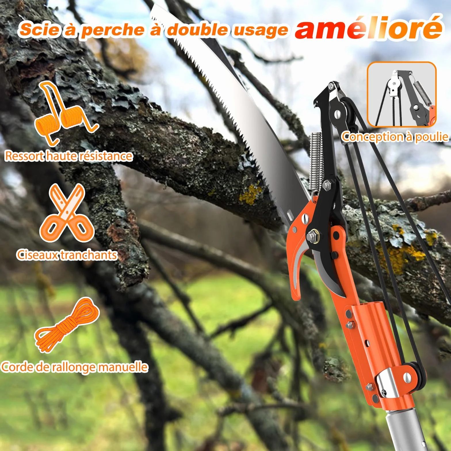 LAANPOLE 6m Scie, Ébrancheur sur Perche Telescopique avec Perche de Extension 1,5-6m, Ébrancheur Manuel pour Jardin