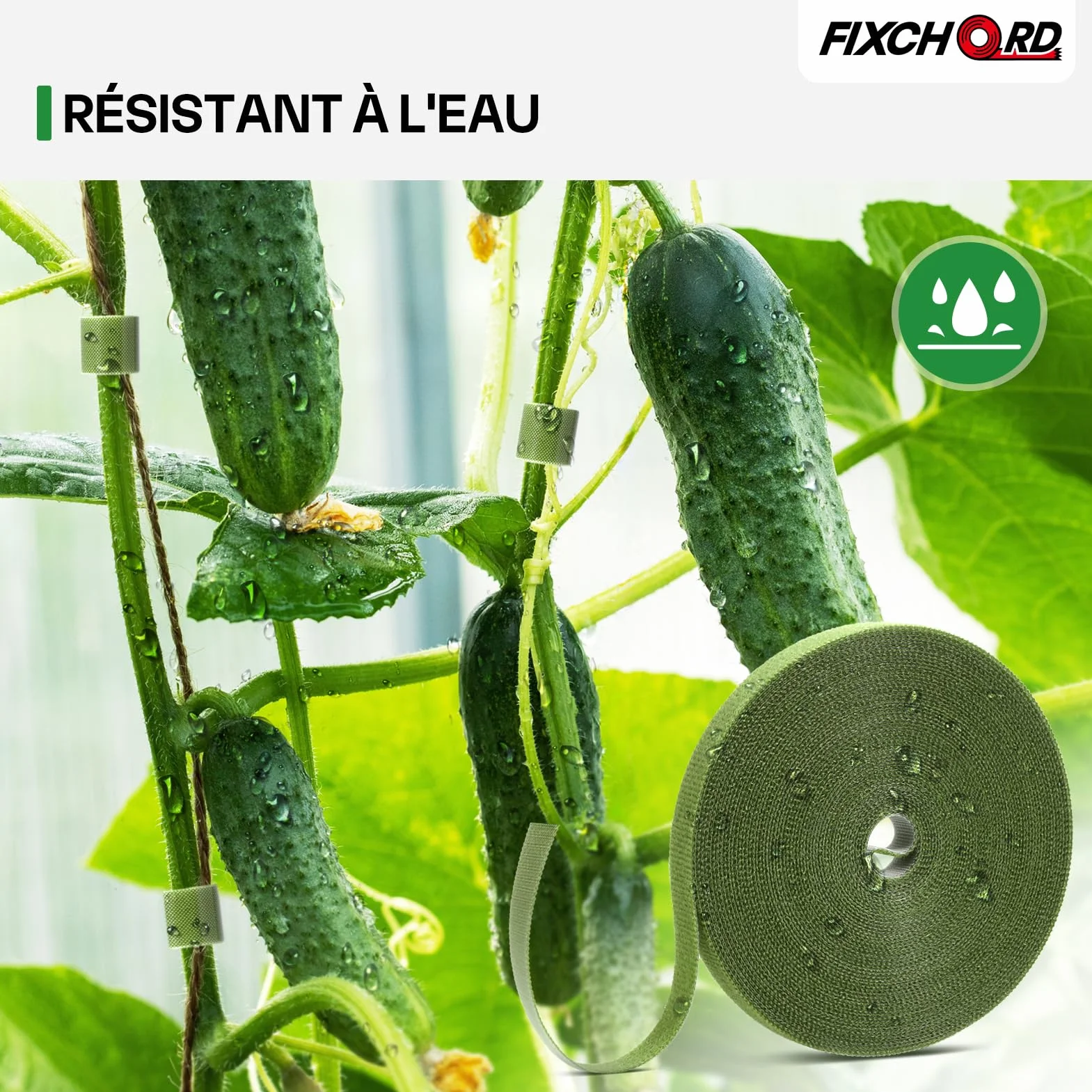 Attaches de Jardin pour Plantes, 10m*12mm Attache Plante Grimpante, Attache Plante Grimpante pour Tomate, Liens de Plantes Bande de Fixation Réutilisable, Verre Vert