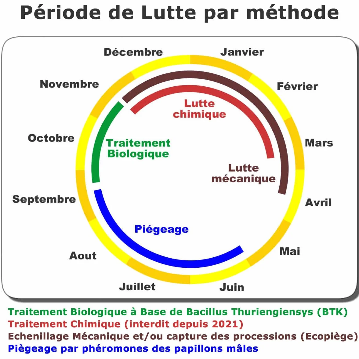 SOLUPHERO - Kit Piège Entonnoir Funnel Trap + phéromone Longue durée Contre la Chenille de la processionnaire du pin - Efficace 6 Mois (200 Jours) - Lutte Biologique - A Installer de Juin à Septembre