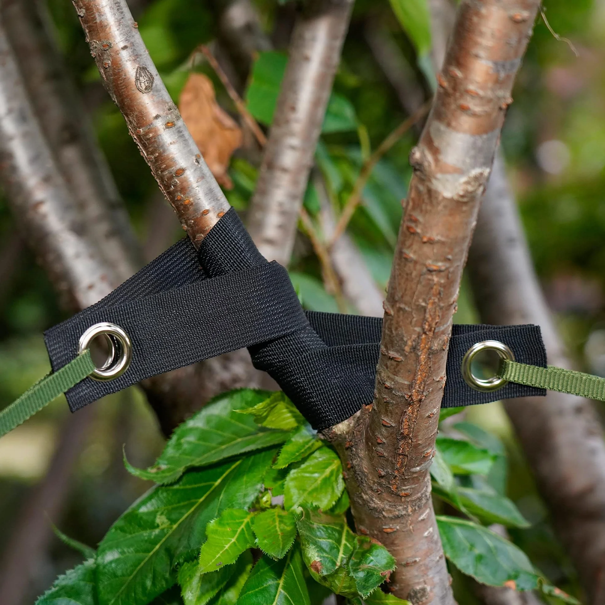 Sangles de Soutien pour Arbre avec œillets, 6 Pièces Sangles d'arbre, Attaches pour Arbres, Sangle Arbre Tuteur pour Jeunes Arbres Nouvellement Plantés et Protection Contre Les Ouragans