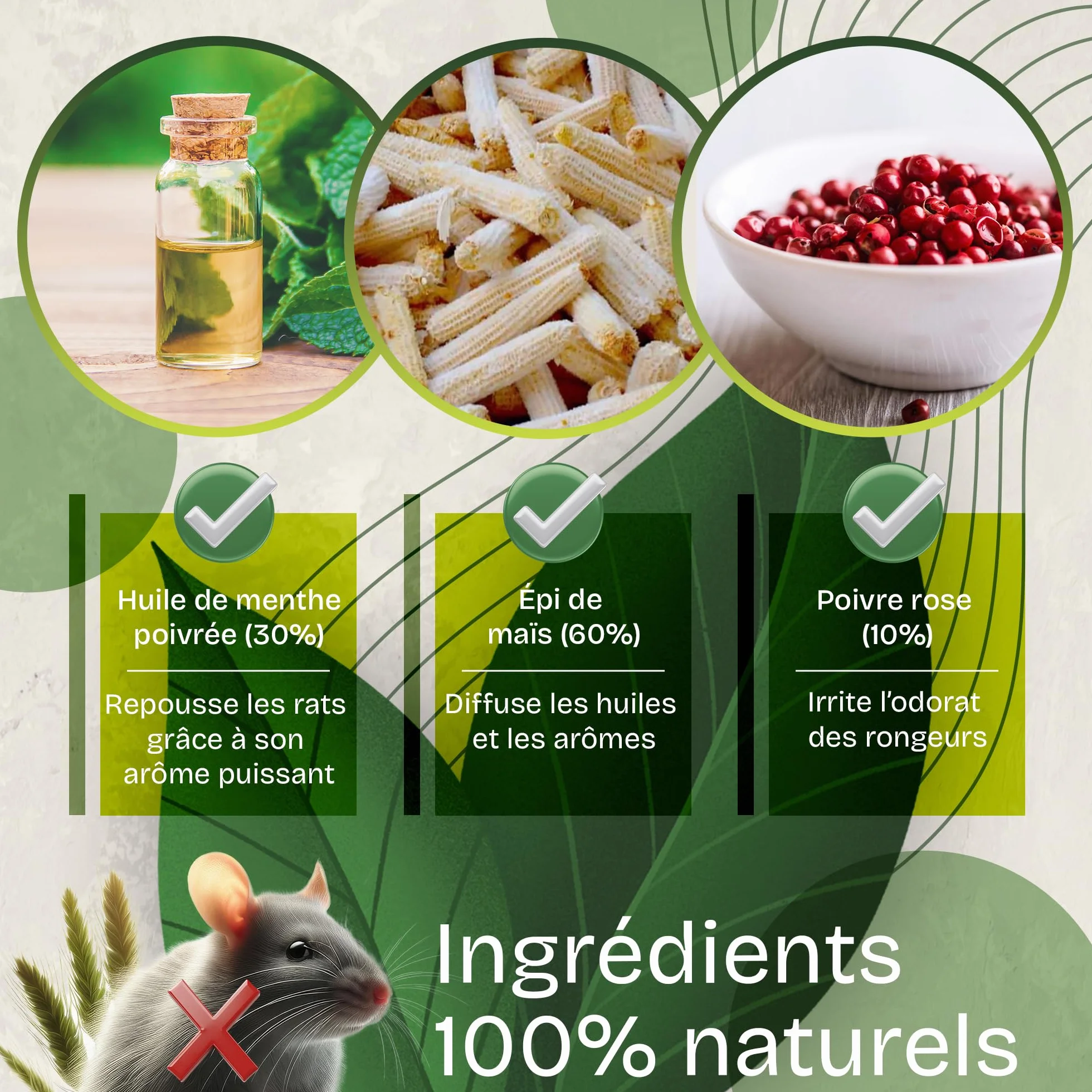 Anti Souris - Menthe Poivrée Repulsif - Répulsif Souris - Répulsif Rongeur pour Voiture - Produit Contre Les Rats - 100% Naturel et Non Toxique