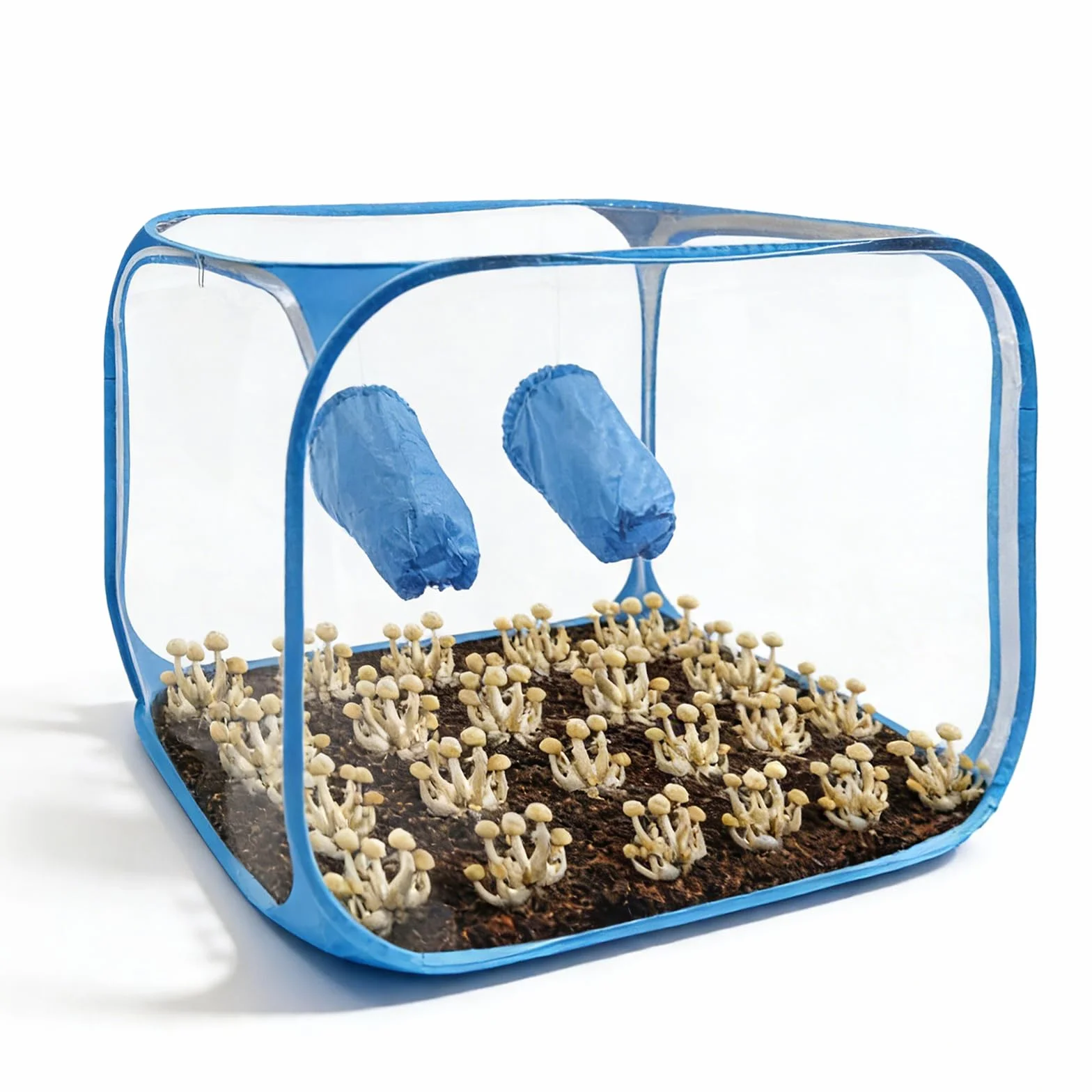 Conteneur de culture de champignons portable 60 x 60 x 90 cm pliable avec ouvertures pour les bras