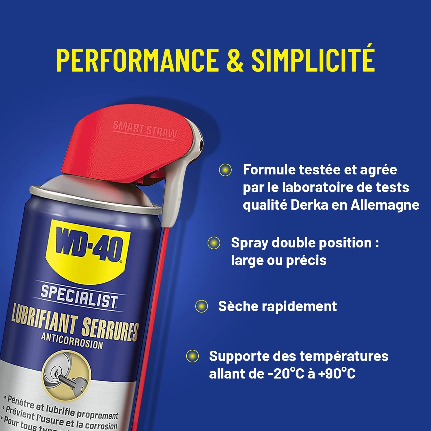 WD-40 Specialist Lubrifiant Serrures Spray Double Position Anticorrosion 250 ML
