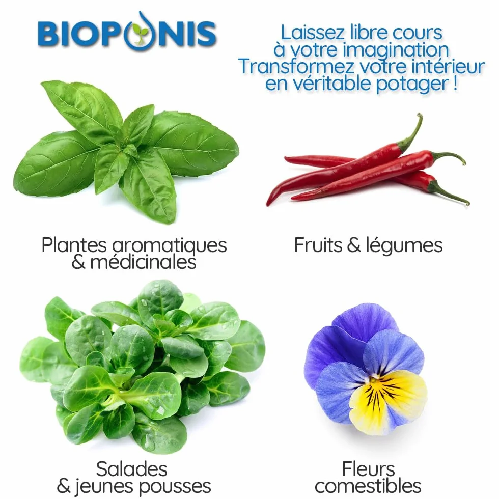 Potager d'Intérieur Hydroponique Bamboo 1 8 Emplacements pour Plantes Aromatiques