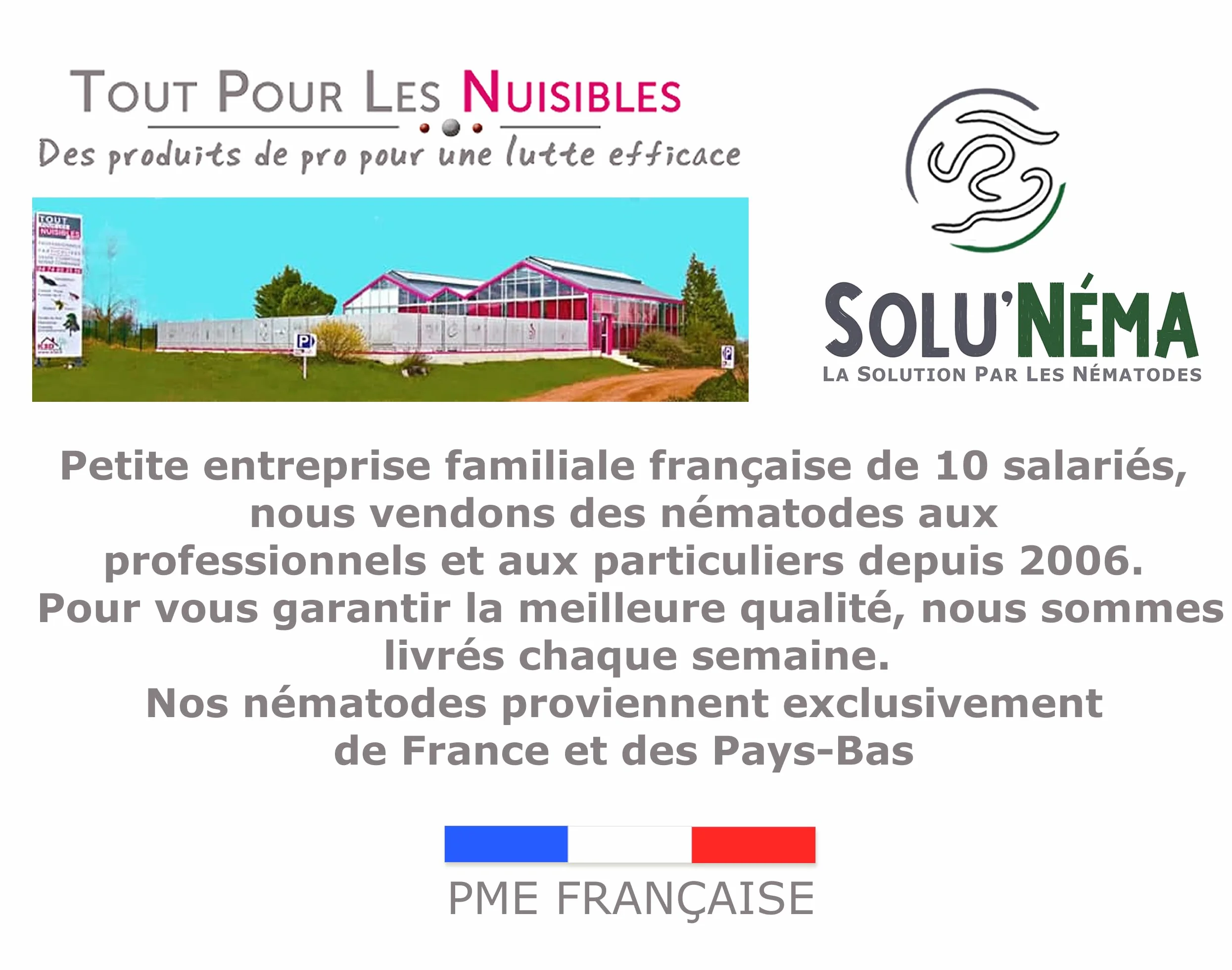 SOLUNEMA - Nématodes contre la pyrale du buis - 250 Millions Longue Durée
