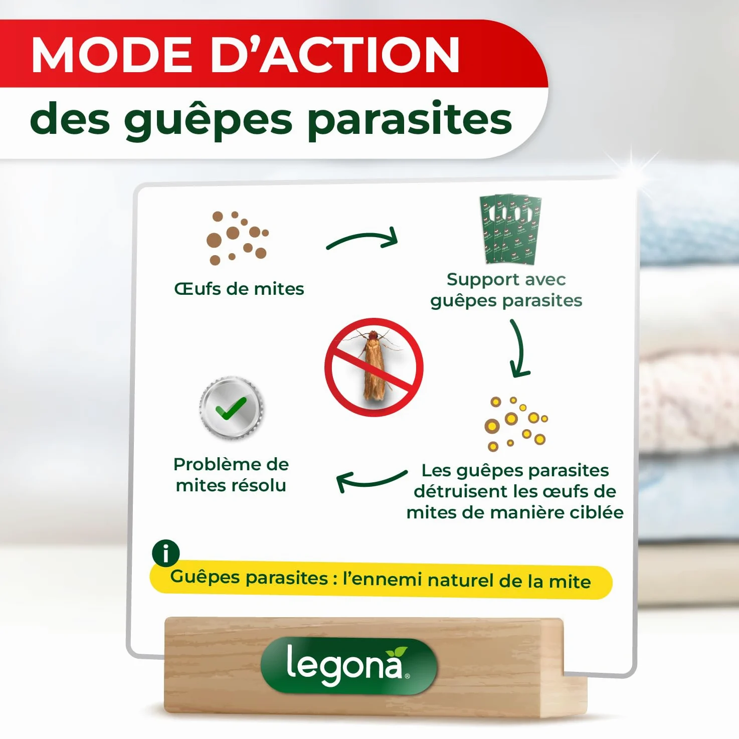 Legona Trichogramma Mites des vêtements - 10 Cartes à 5 livraisons - Anti-Mites Naturel - Produit performant Contre Les Mites