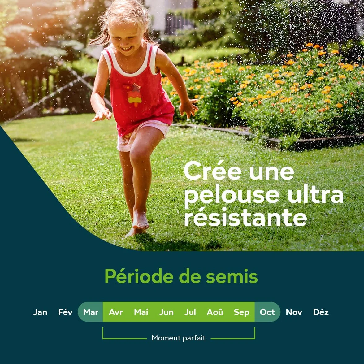Semences Gazon Regarnissage 10 kg pour 500 m² - Germination rapide - Gazon dense et résistant