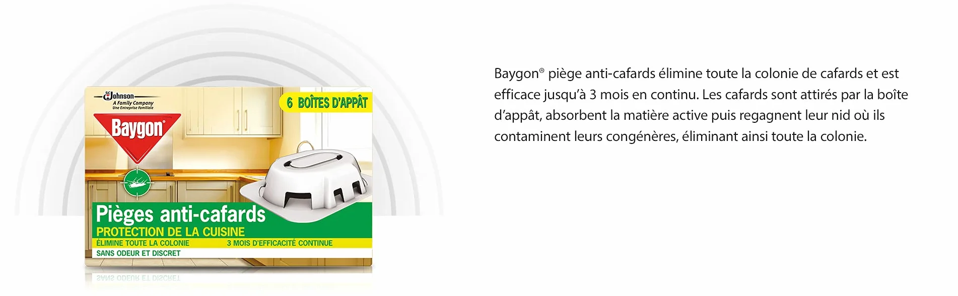 Baygon Pièges Anti-Cafards 6 Boîtes Protection Cuisine 3 Mois Efficacité Continue Sans Odeur