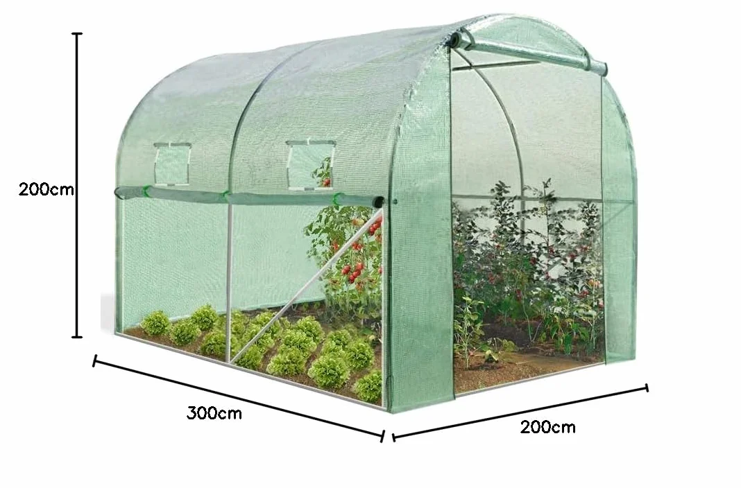 IDMarket - Serre Tunnel de Jardin 4 Saisons 6M² Verte Gamme maraîchère Roma 2x3M