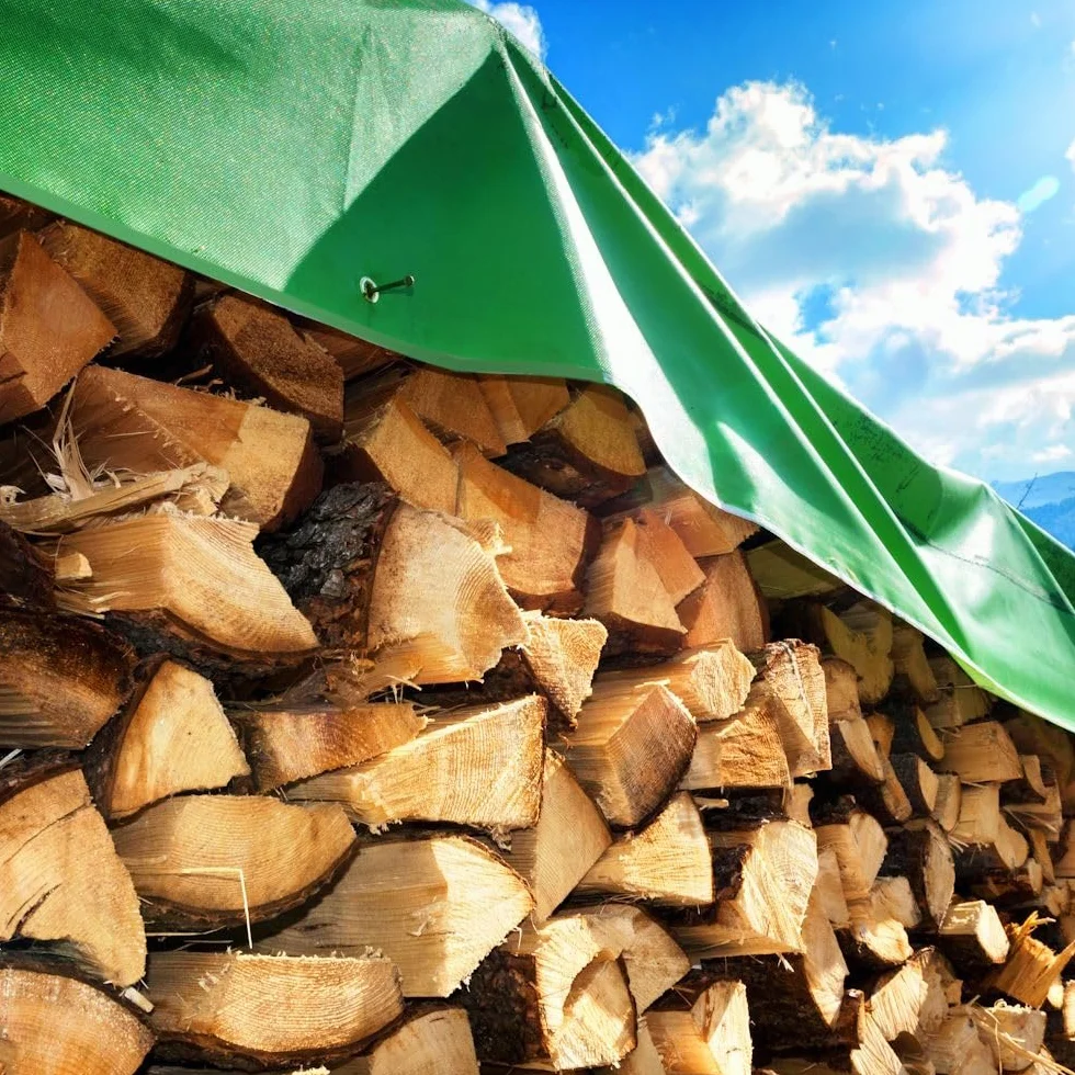 GardenMate Bâche de Protection 1,5x6m 140g/m² Vert
