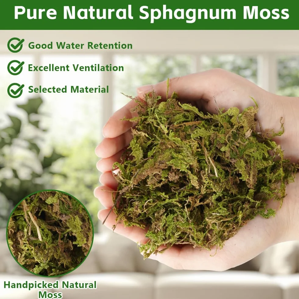 OFFCUP 500g Sphaigne pour Plante, Sphaigne Fraîche Compressée pour Orchidées Mélange Pot, Mousse Naturelle pour Reptiles, Tuteur en Sphaignes Substrat de Culture Naturel (500g)