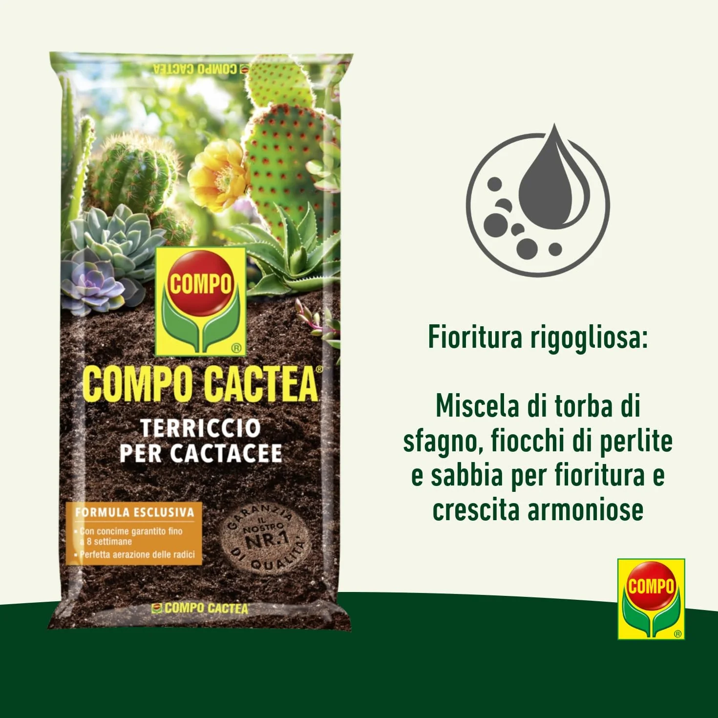 Pack de 5 Litres Sol pour CACTACE et Succulentes