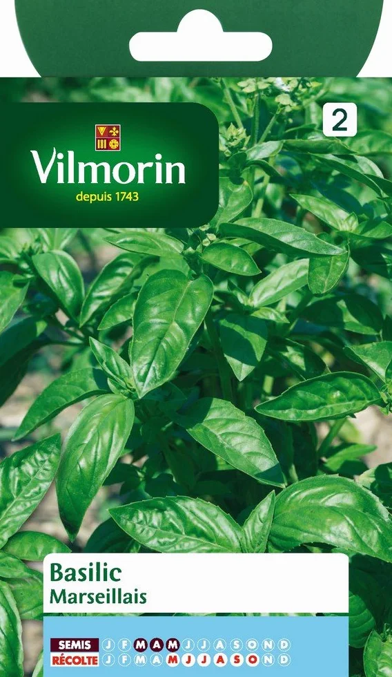 Vilmorin 5873246 Pack de Graines Basilic Marseillais Extrêmement Parfumé