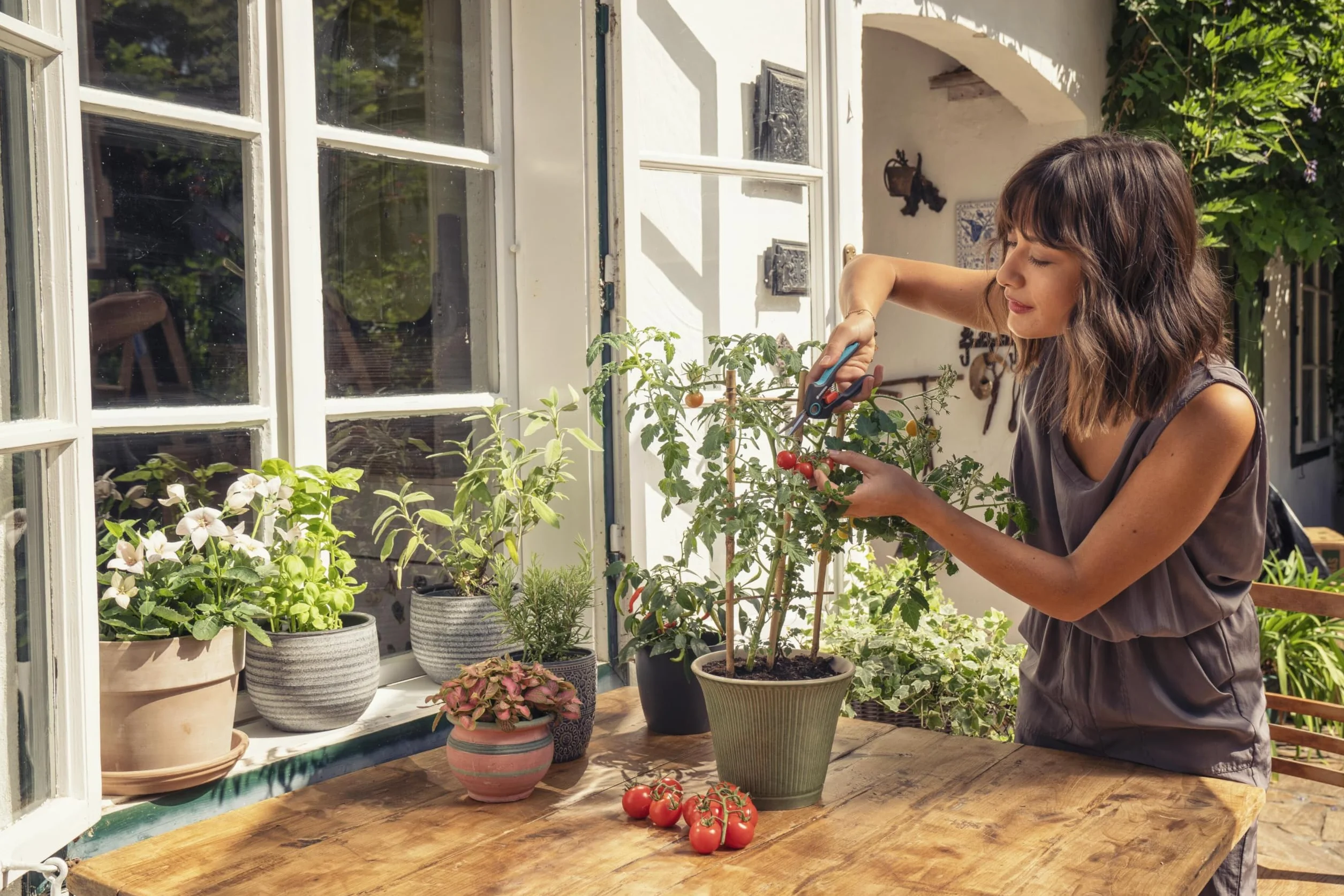 Gardena FreshCut : Ciseaux de récolte en acier inoxydable pour une récolte précise d'herbes, de baies ou de fleurs coupées, lame de 47 mm, poignée ergonomique, avec capuchon de sécurité (12212-20)