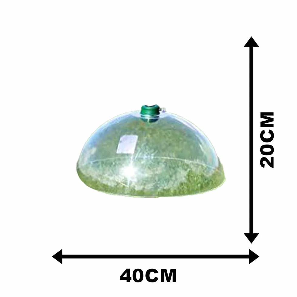 Grand Universel 40cm Transparent Mangeoire Oiseaux Accessoire