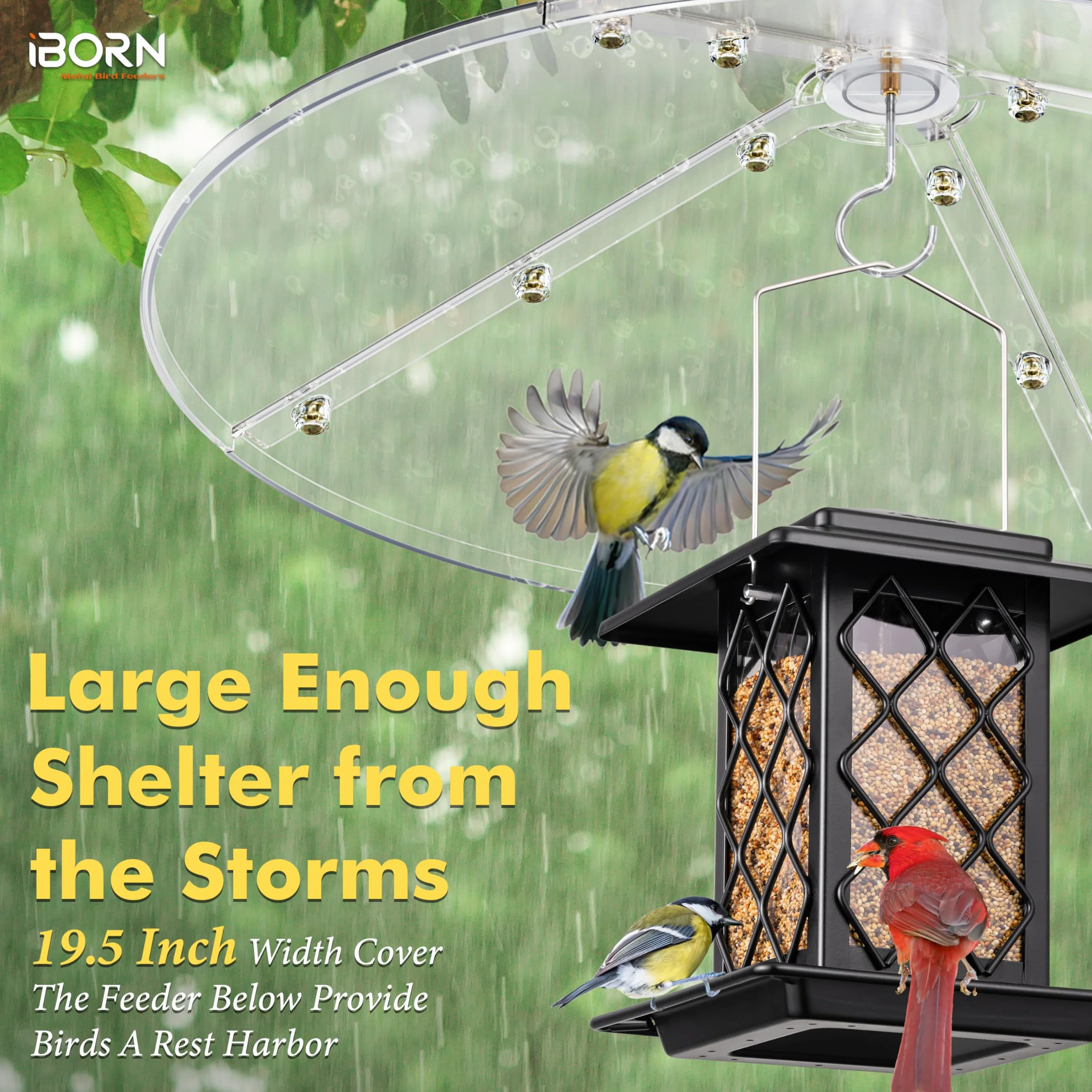 iBorn Déflecteur pour mangeoires à oiseaux 49,5 cm anti-mastication PC transparent