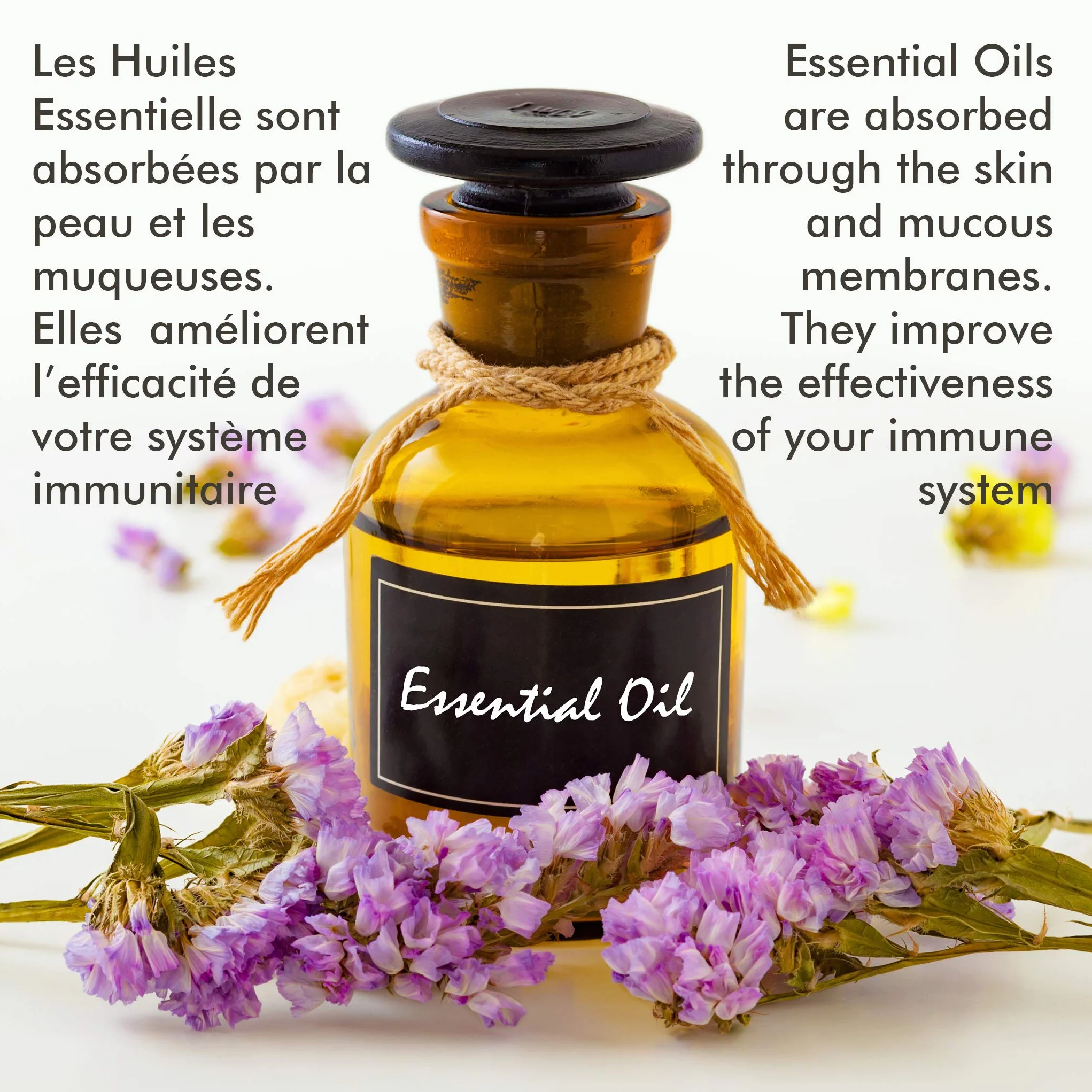Camylle Velours de Spa Safe MONOÏ Parfum pour l'eau du Spa Fragrance Solaire et Florale 5000ml