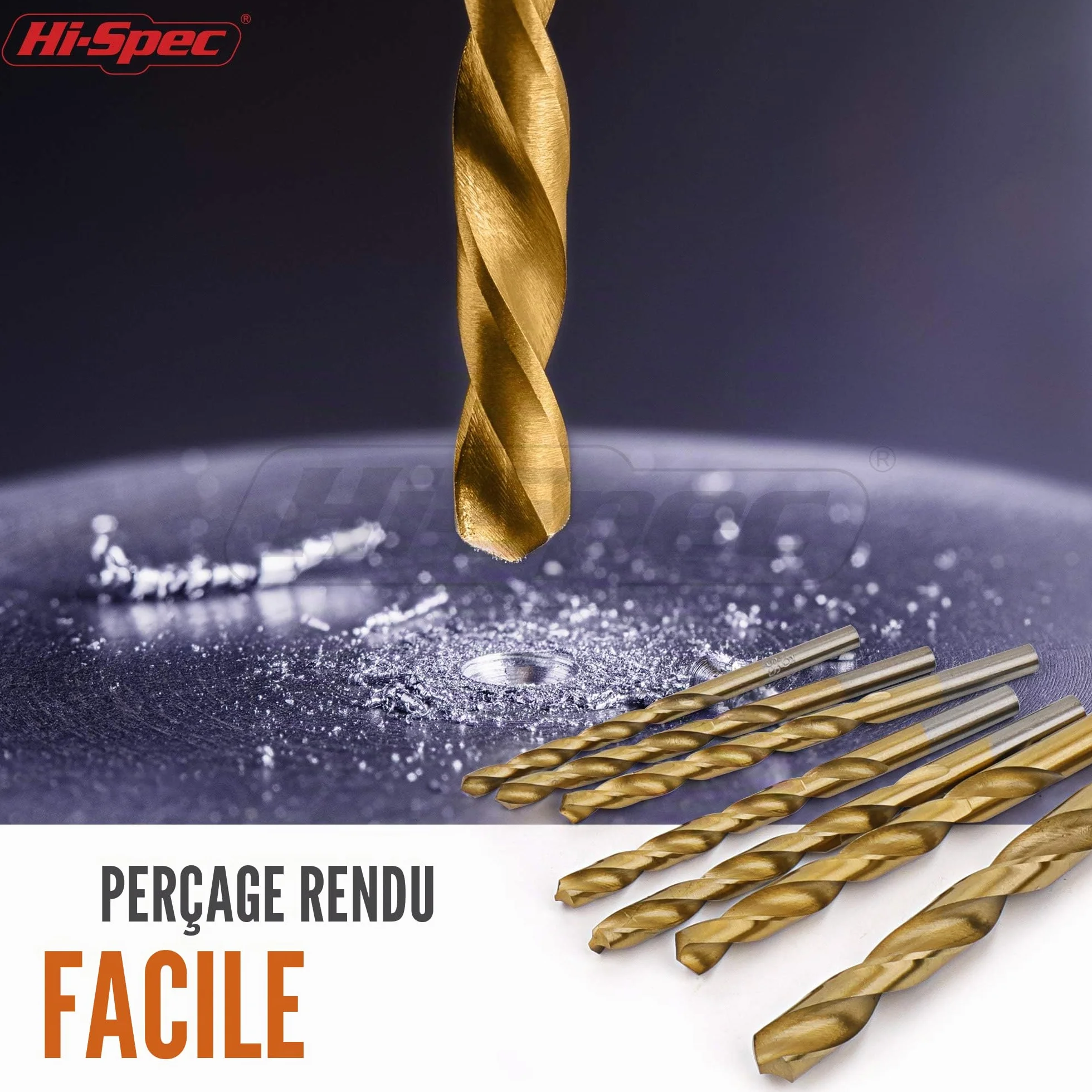 Lot de 99 Forets HSS Acier Revêtu Titane (1-10 mm) - Kit Complet Bois Métal Plastique avec Coffret Rangement